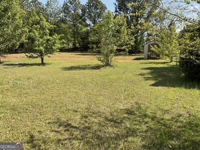 Photo #4