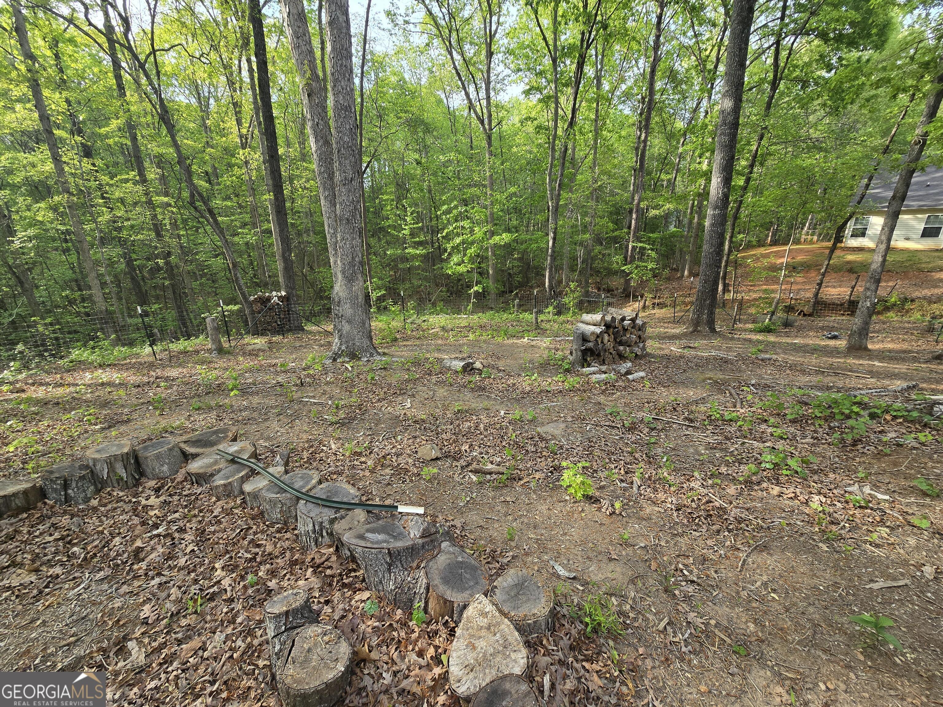 Photo #42