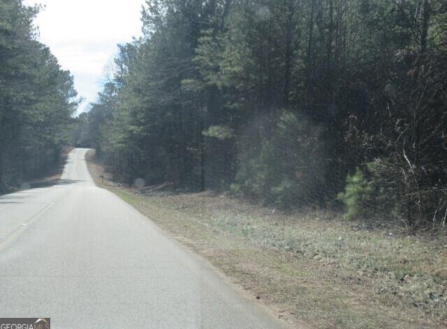 Photo #54