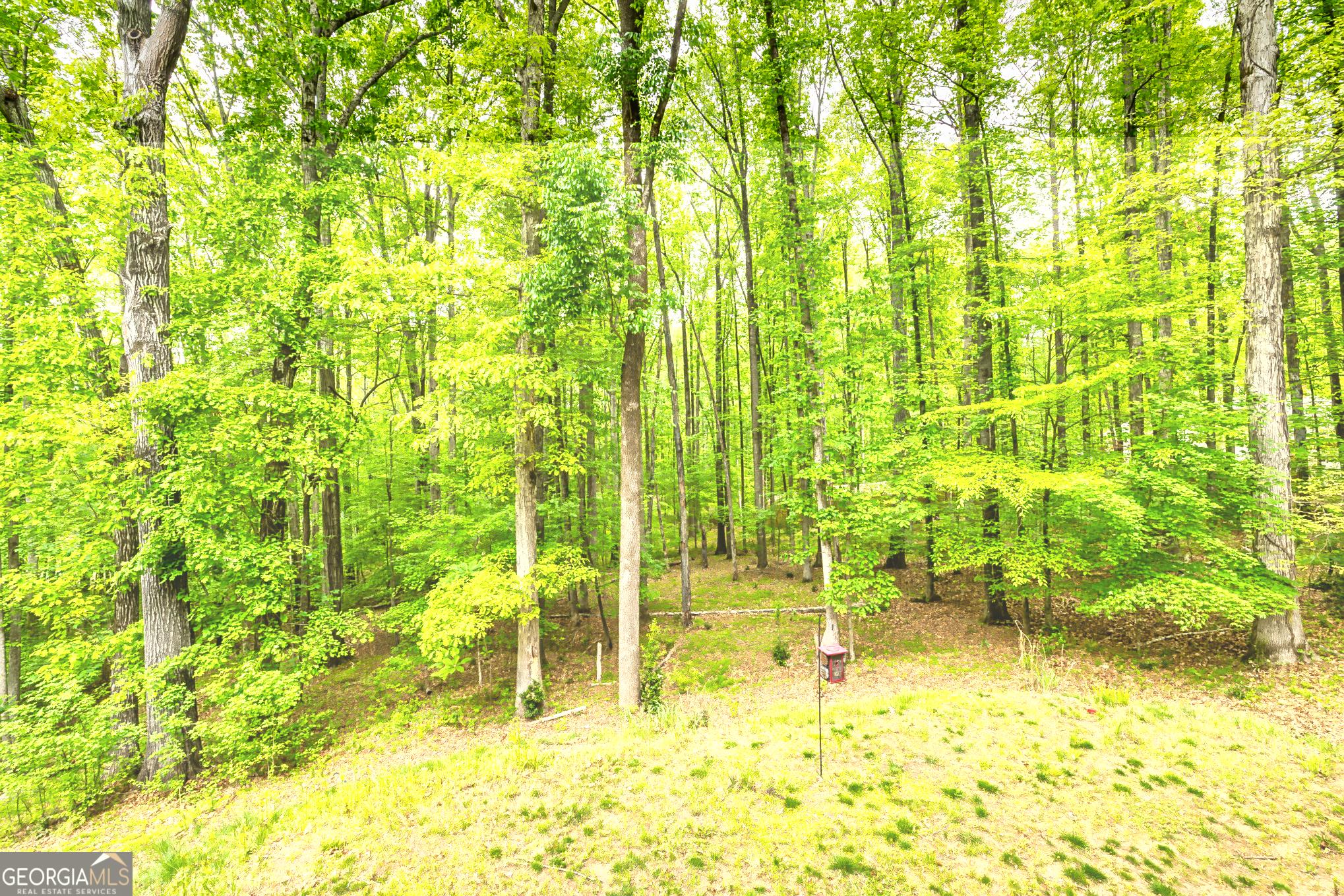 Photo #32