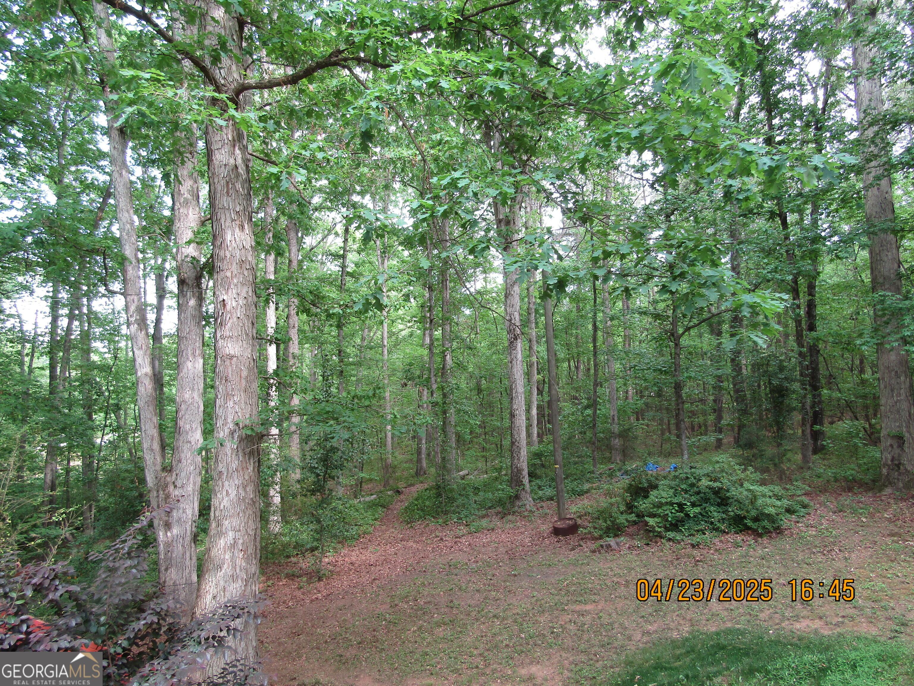 Photo #6