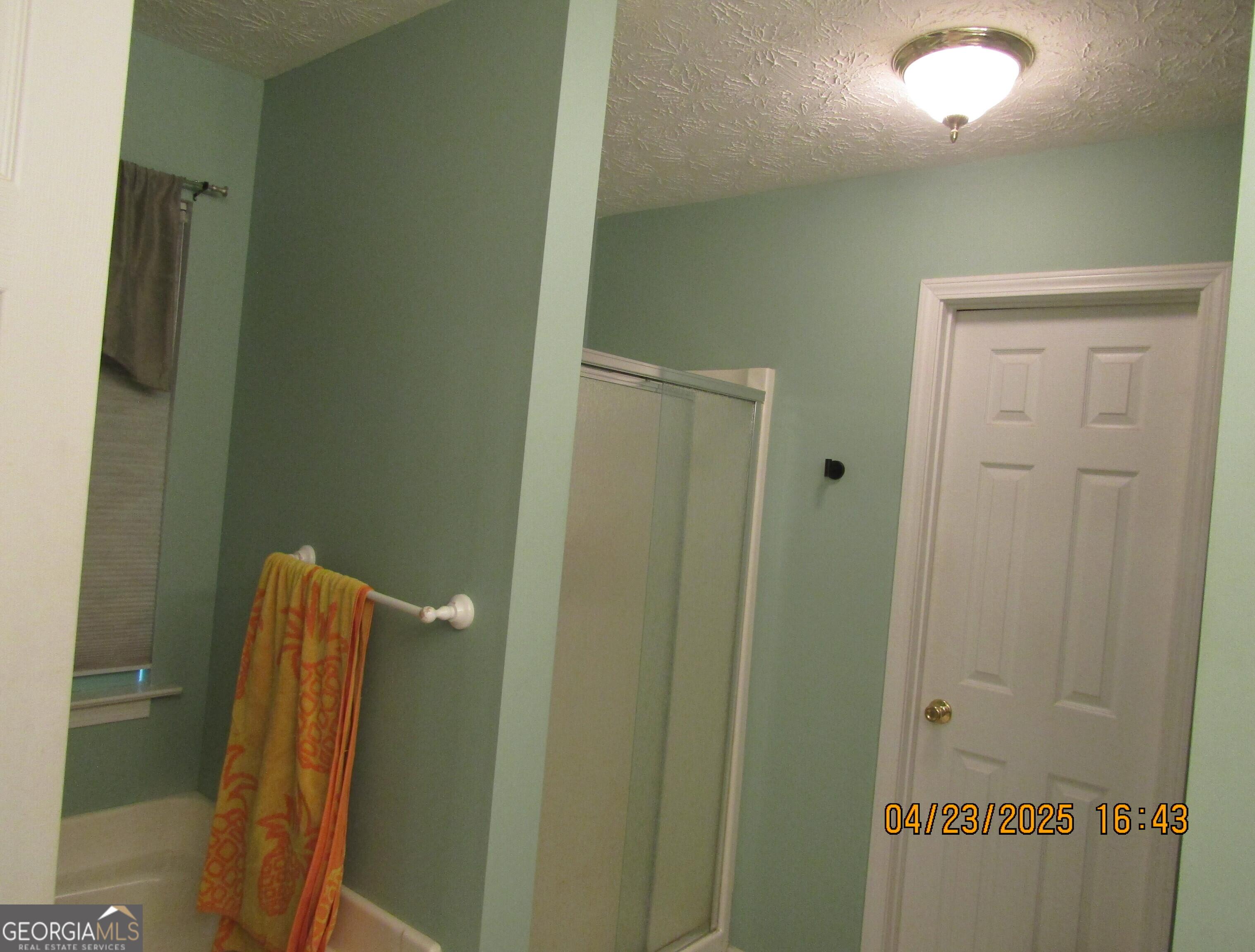 Photo #24