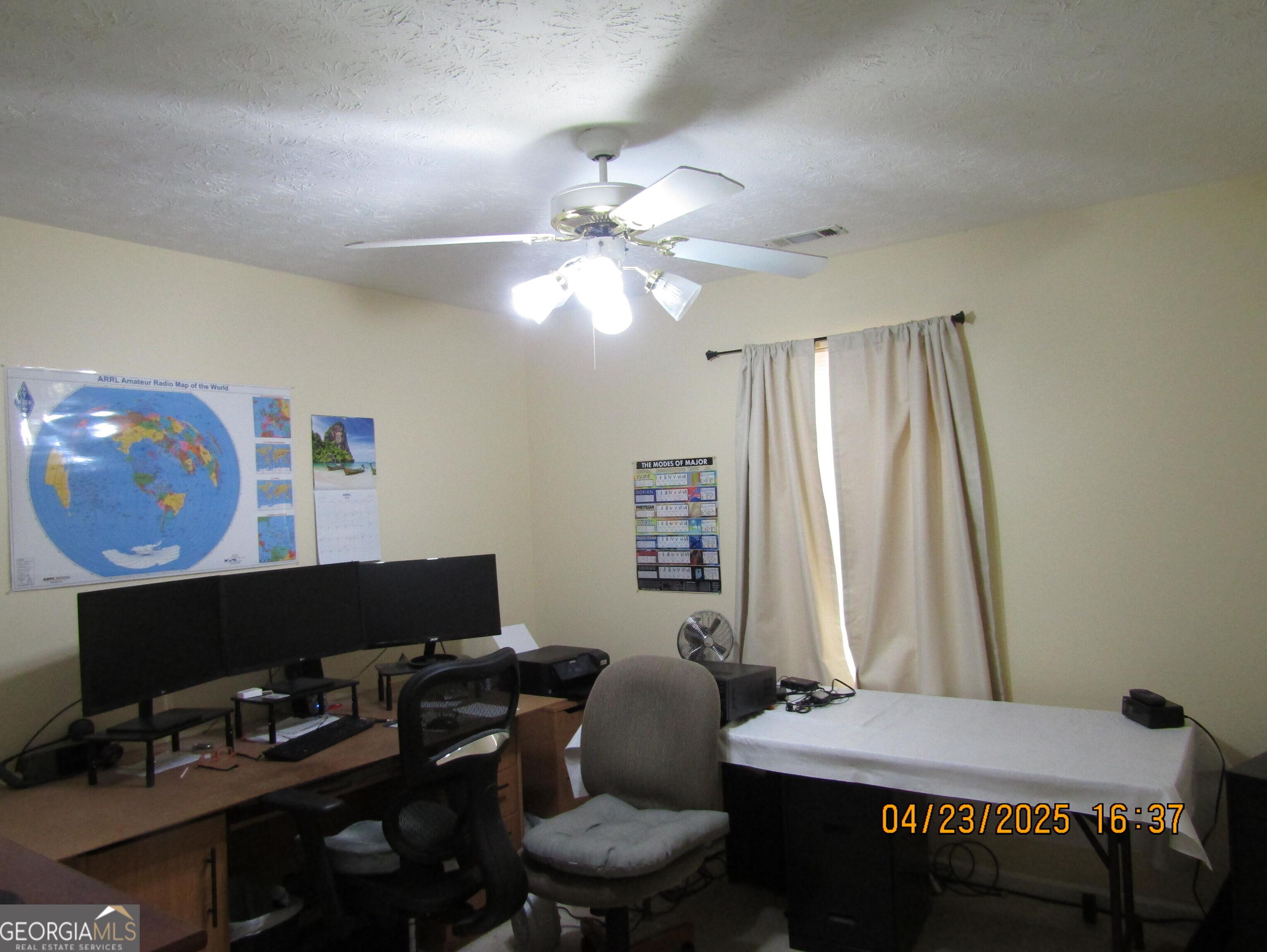 Photo #19