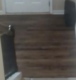 Photo #6