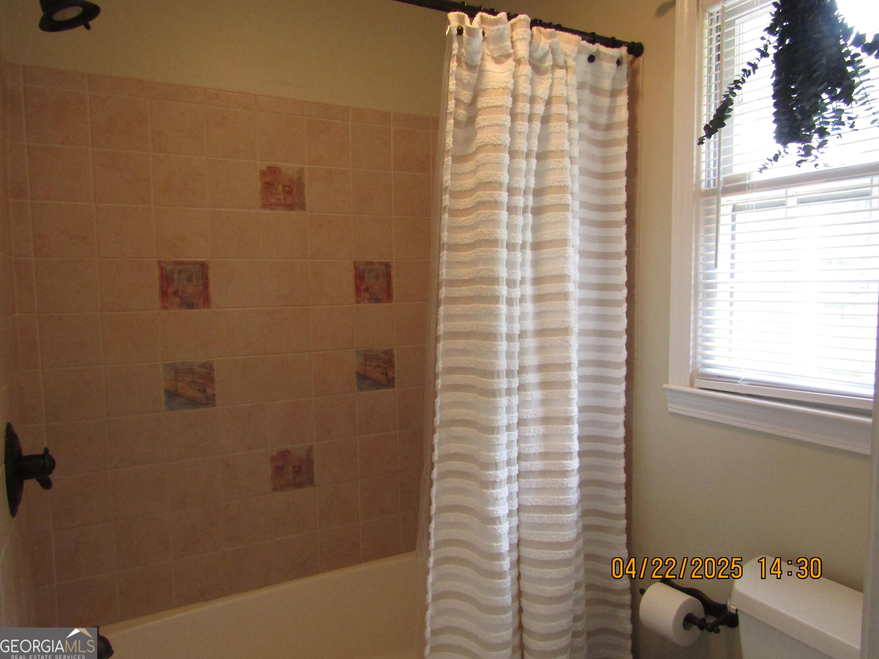 Photo #24