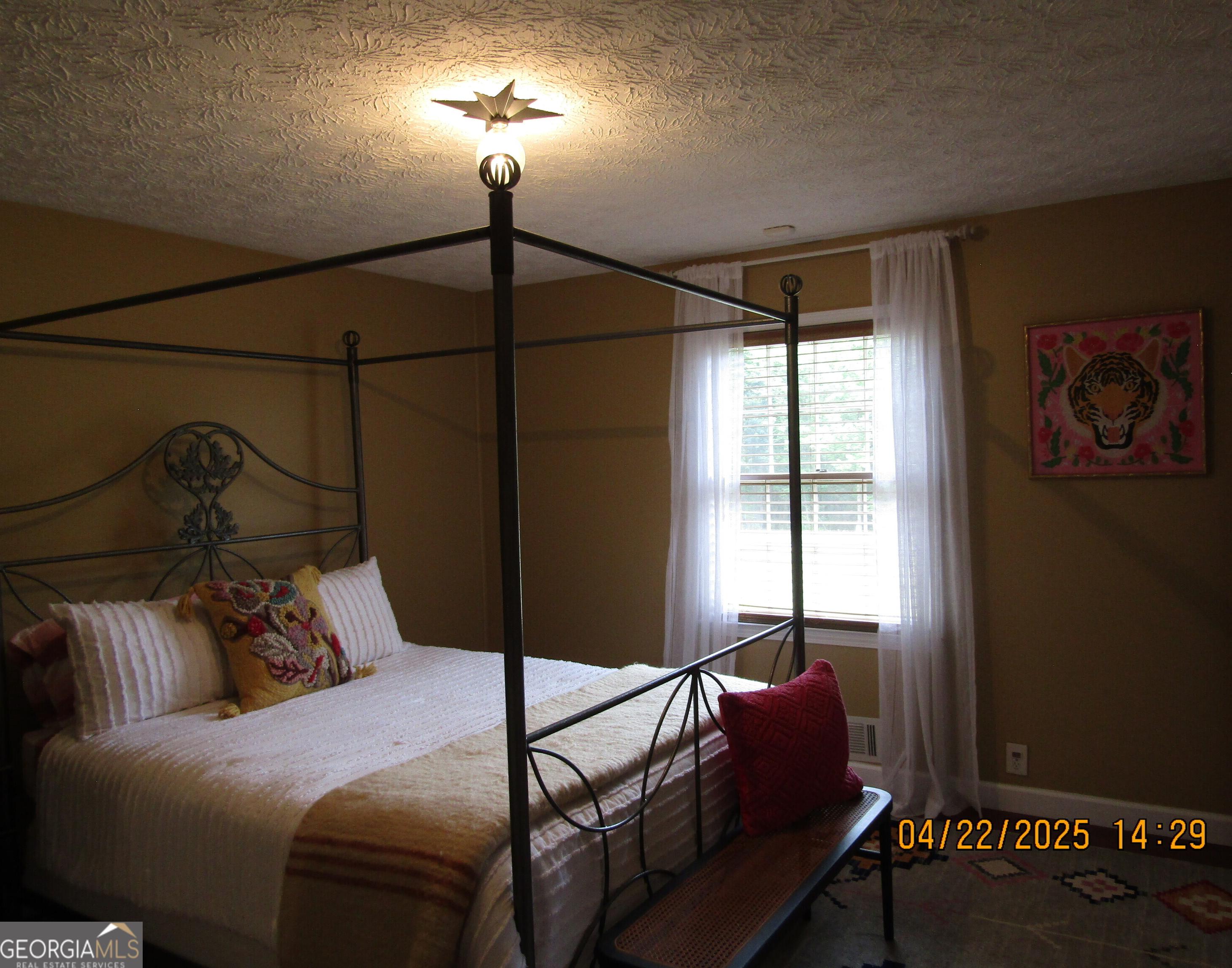 Photo #16