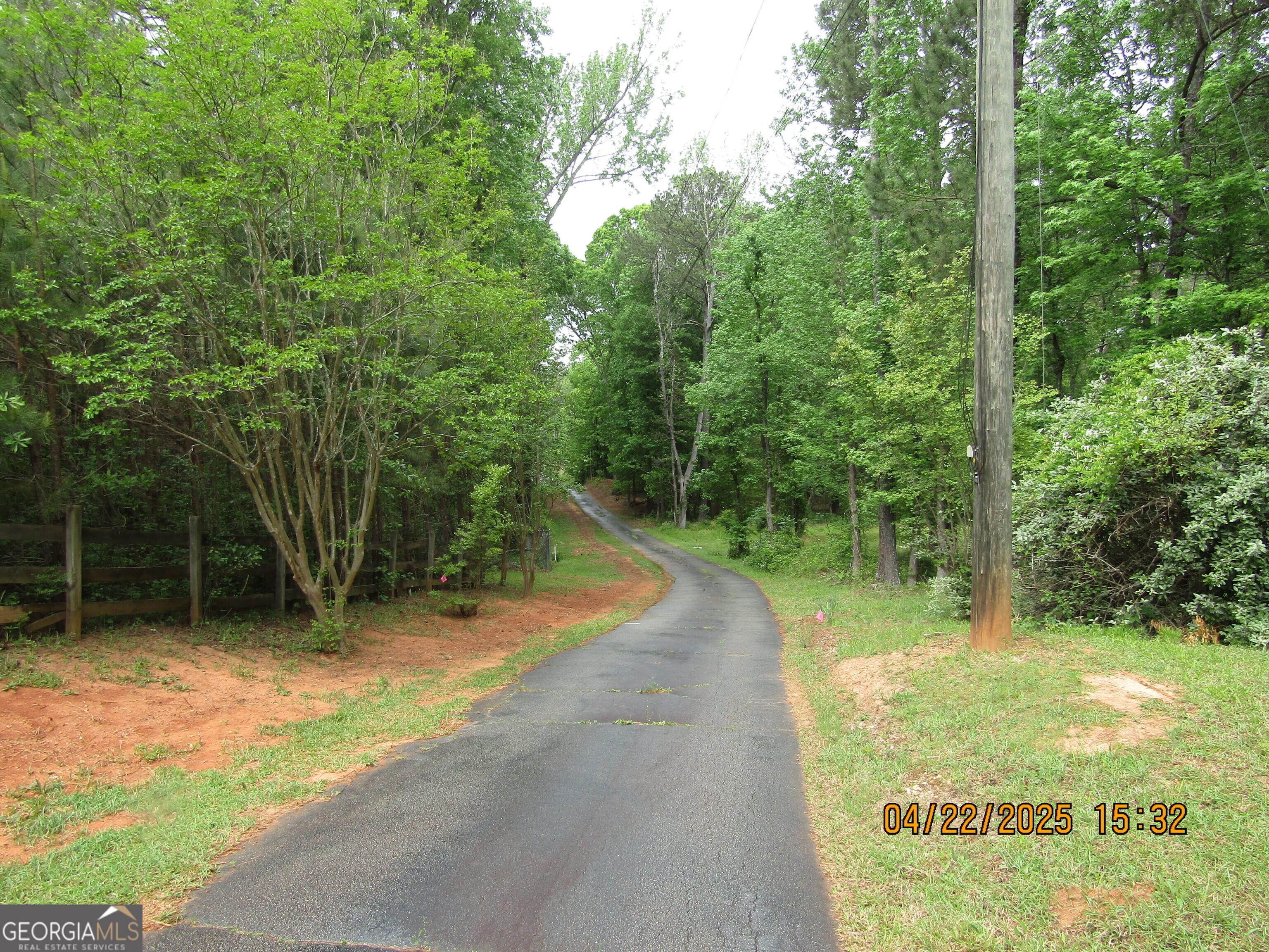 Photo #3