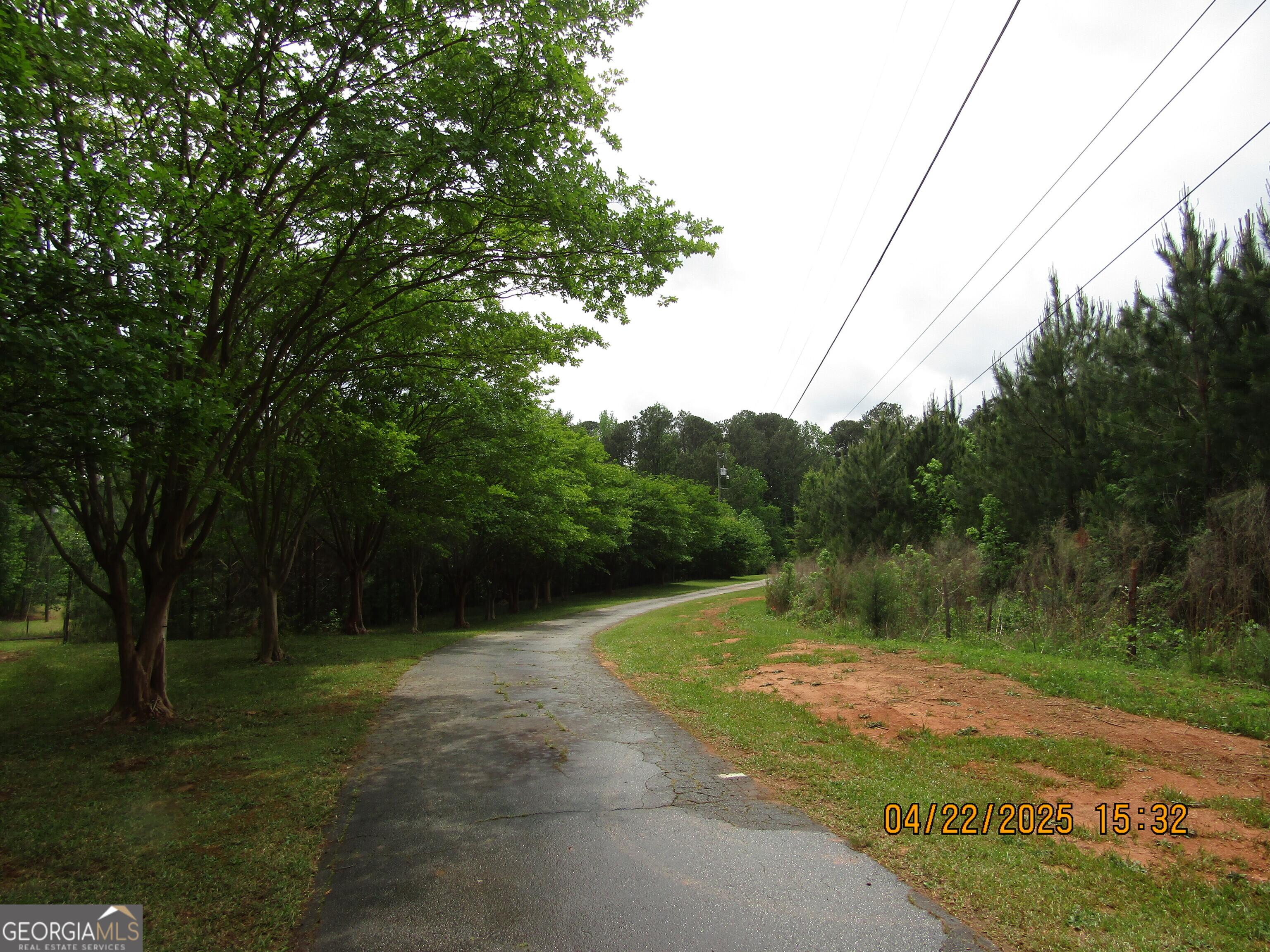 Photo #4