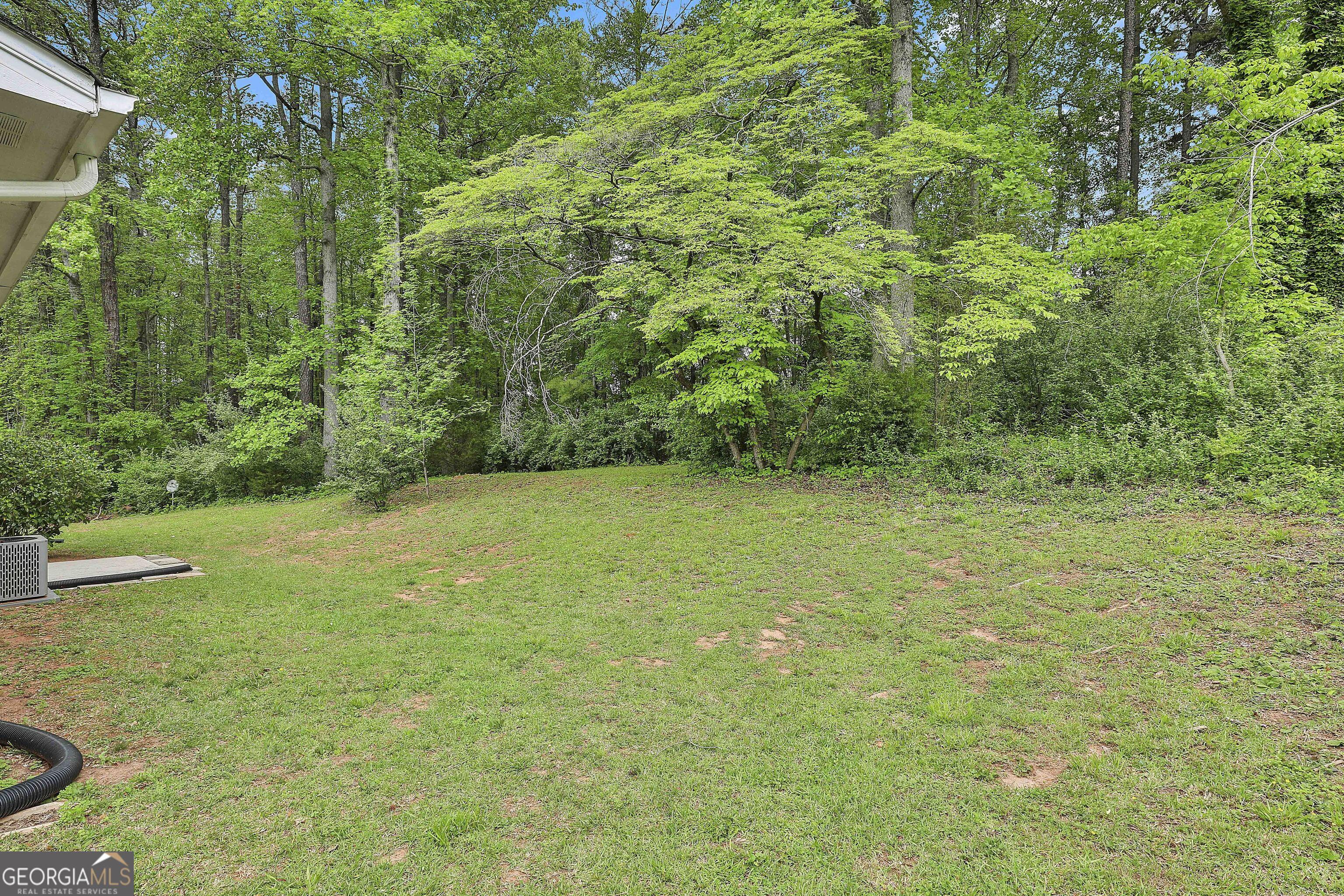 Photo #42