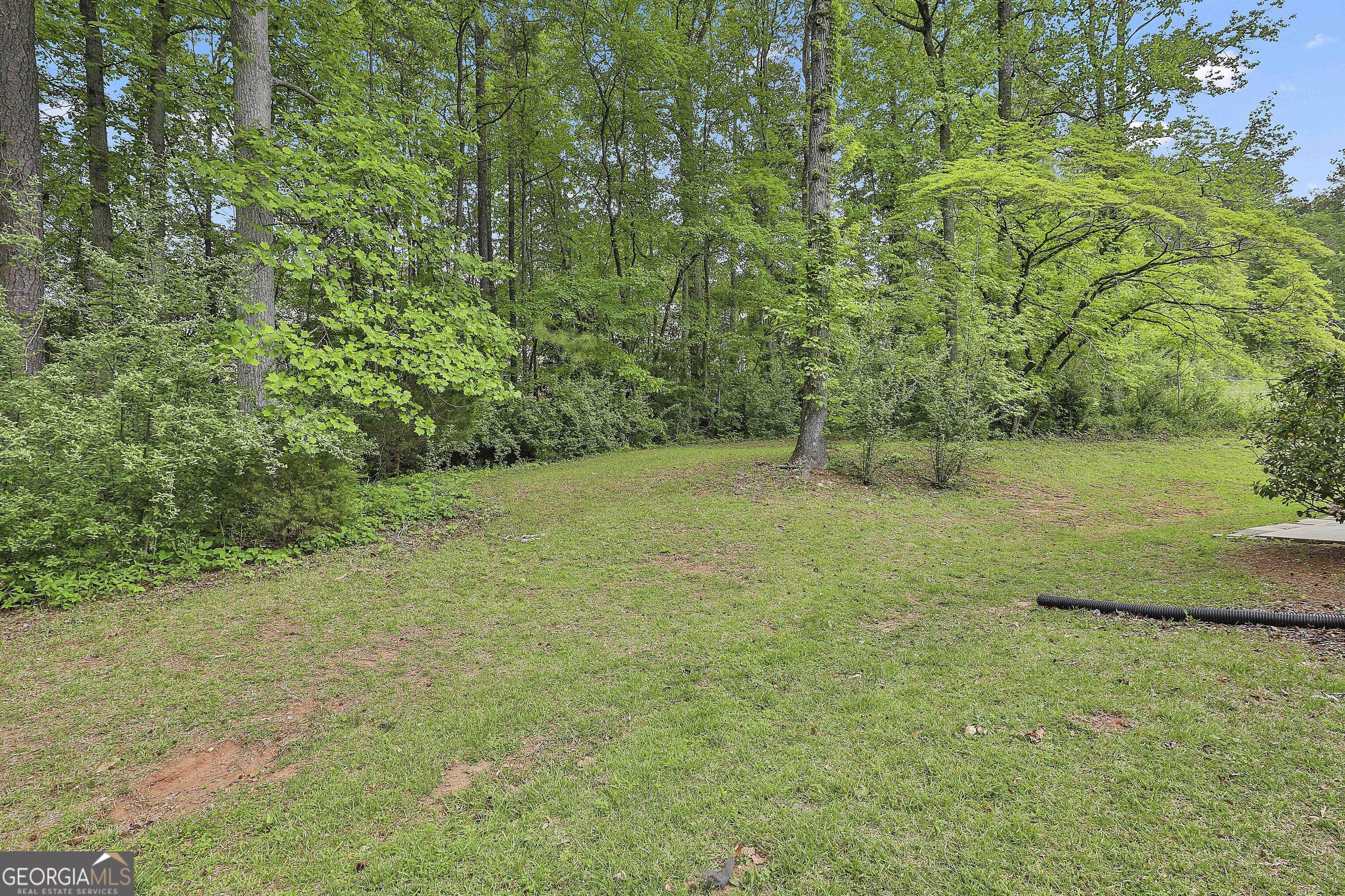 Photo #38