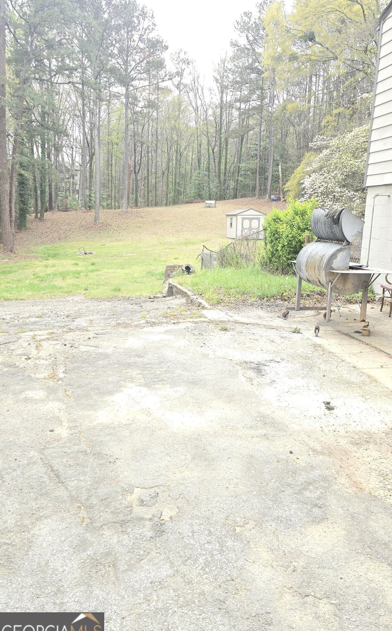 Photo #8