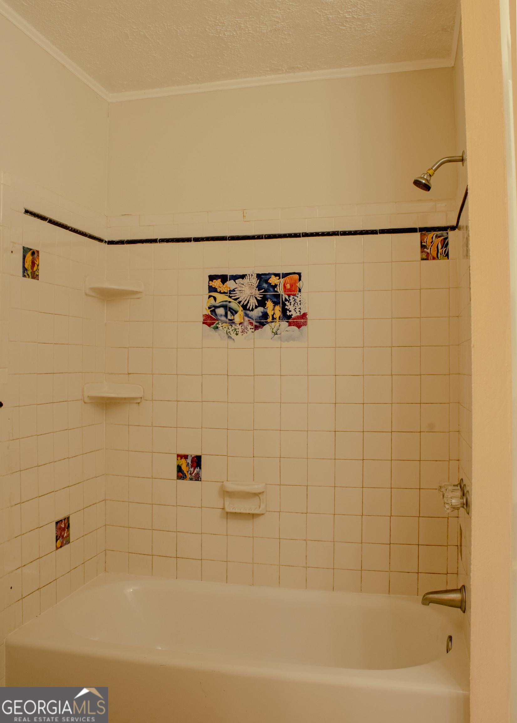 Photo #16