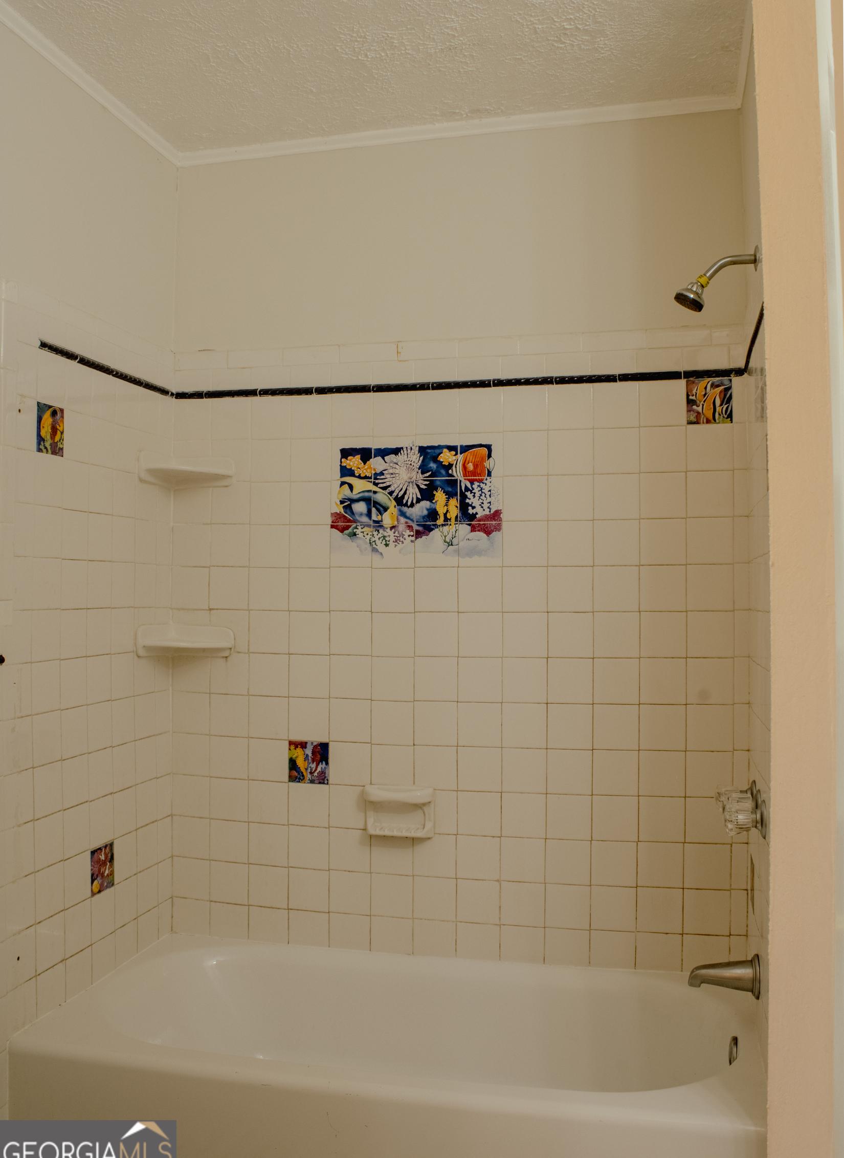Photo #19