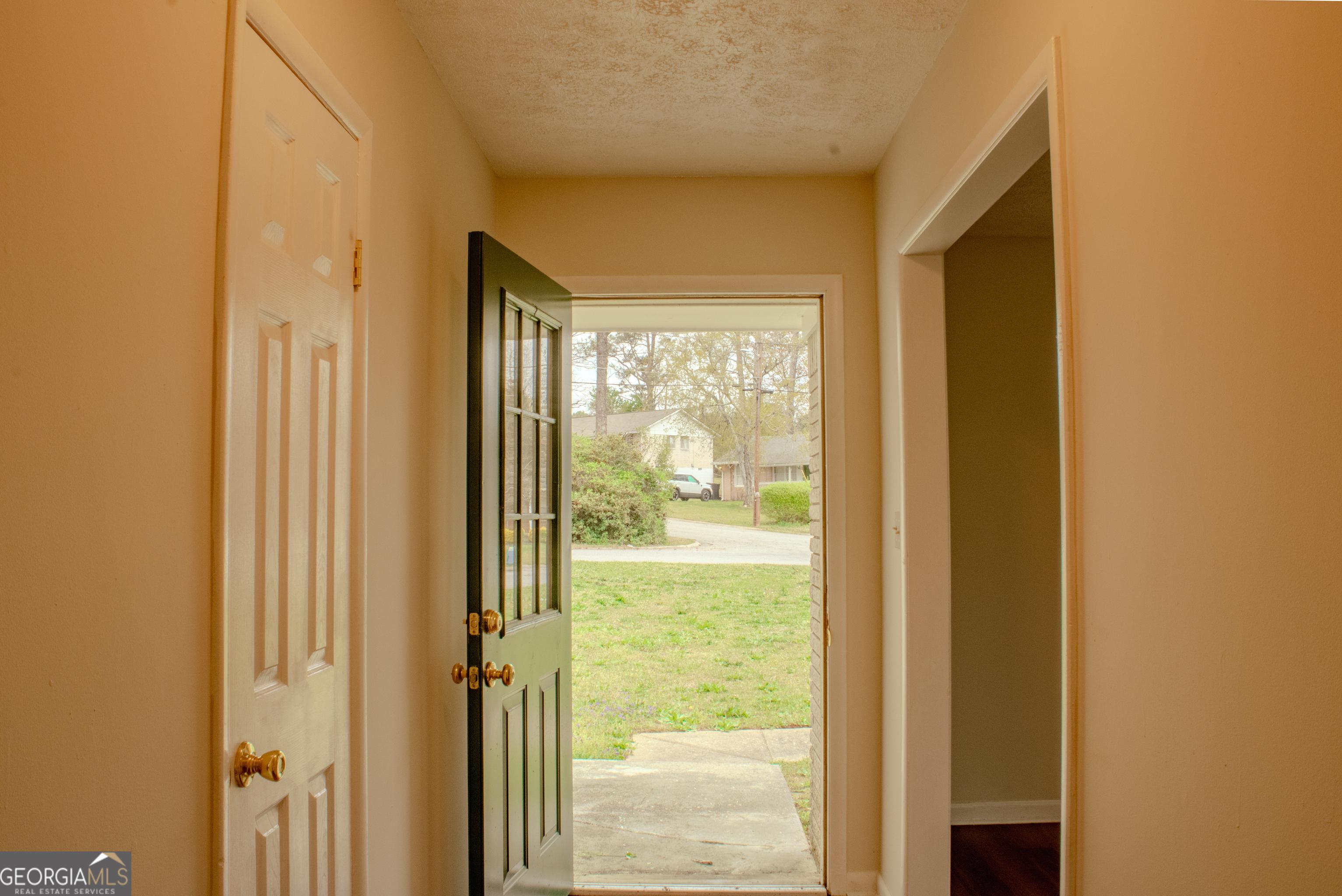 Photo #12