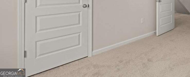 Photo #51