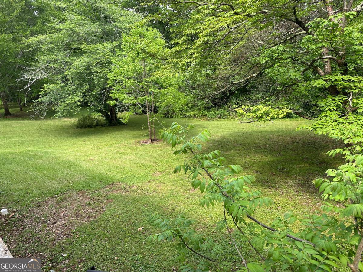 Photo #17