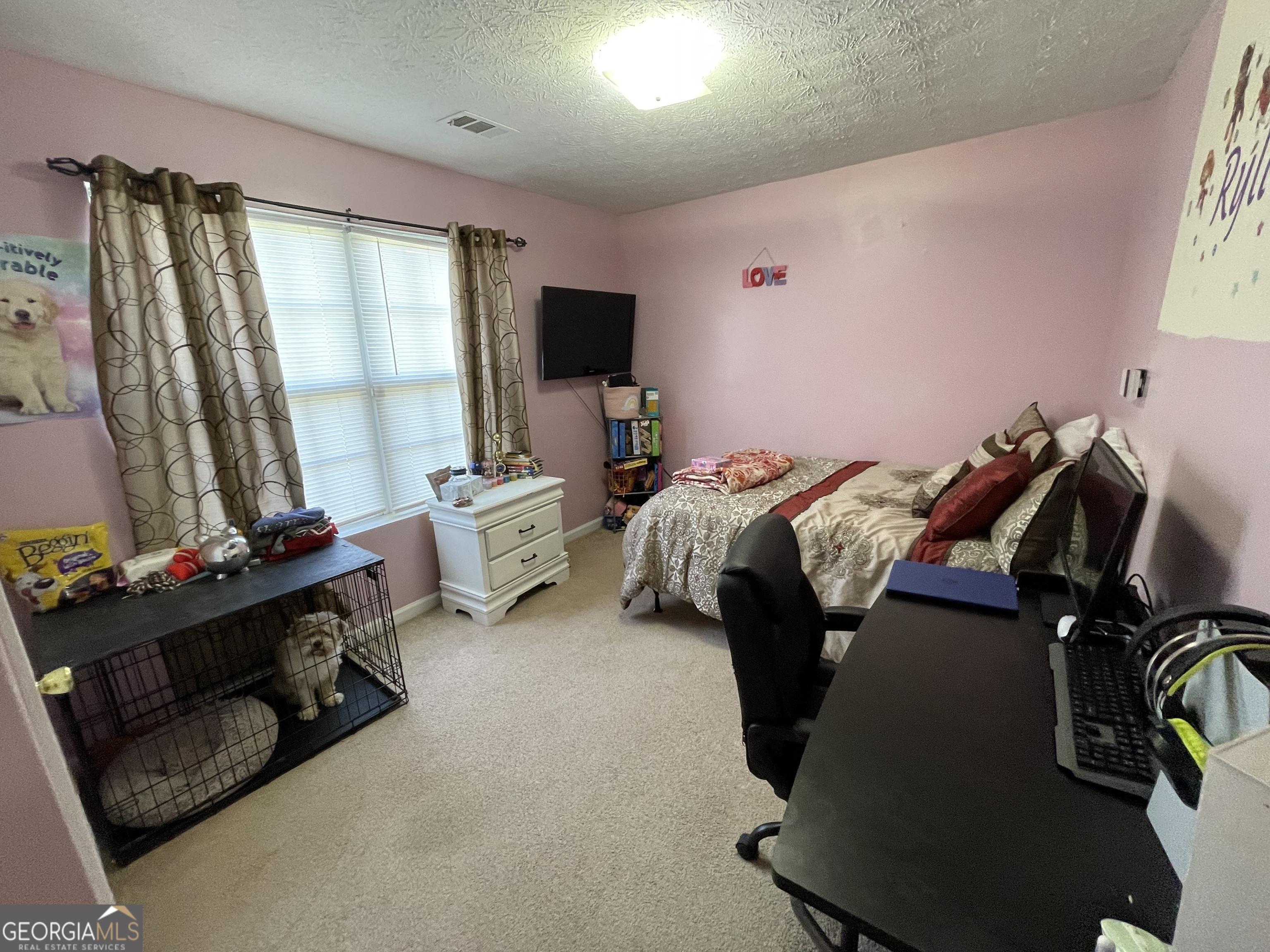 Photo #5