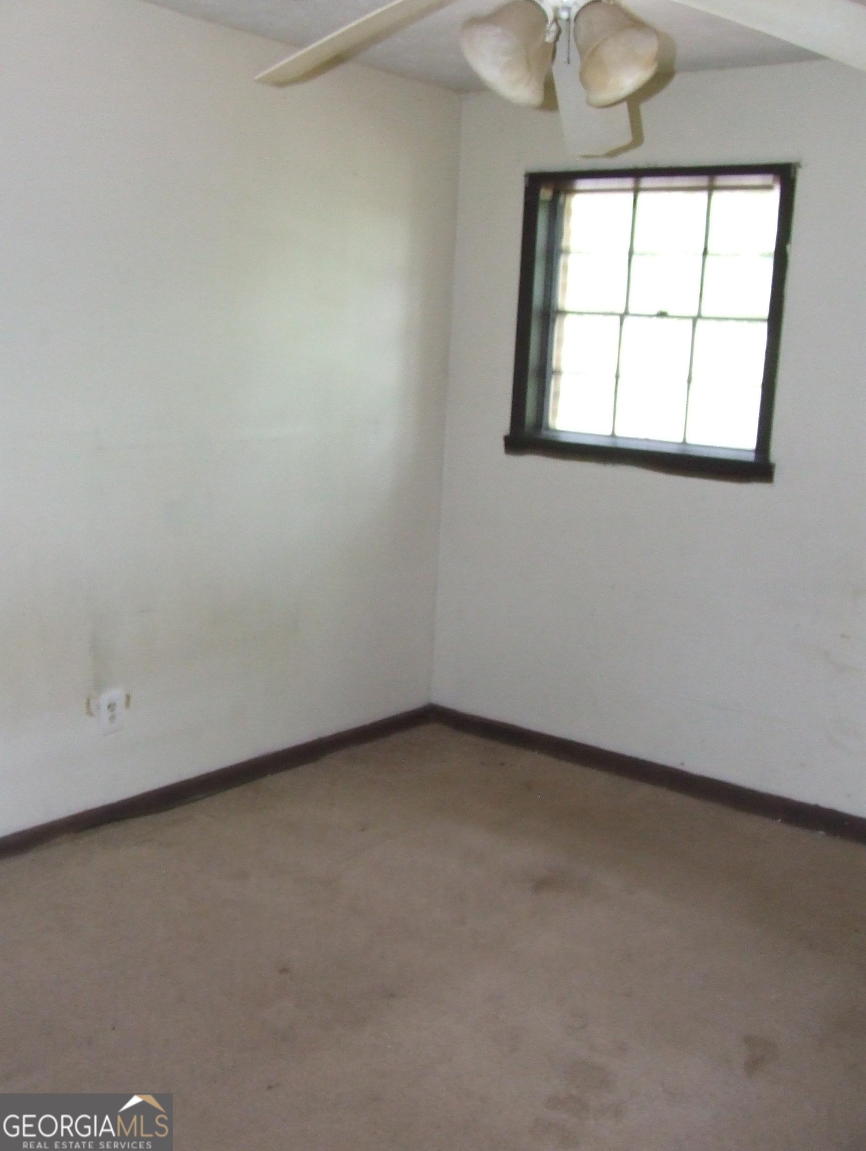 Photo #13