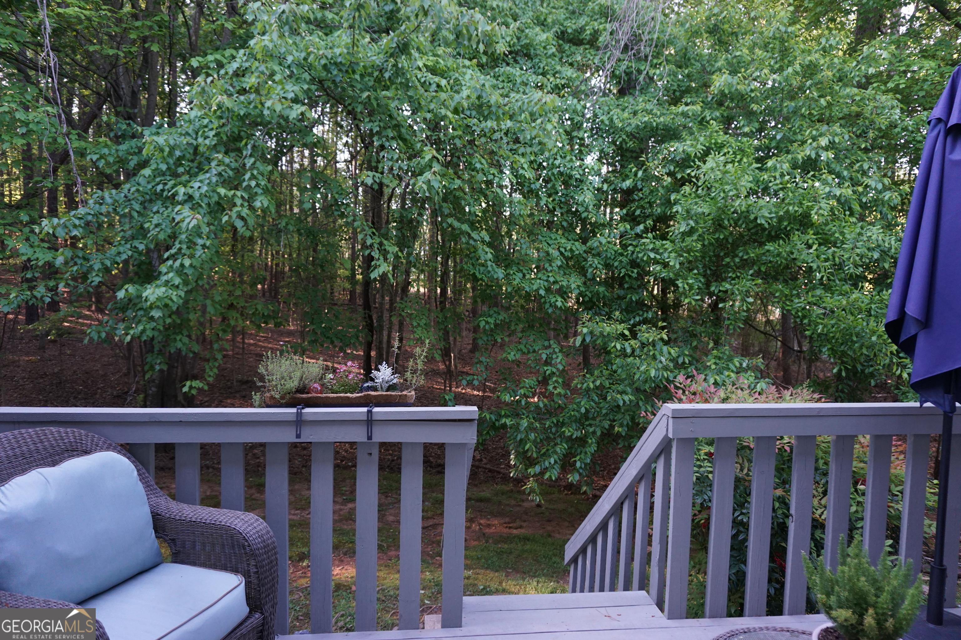 Photo #31