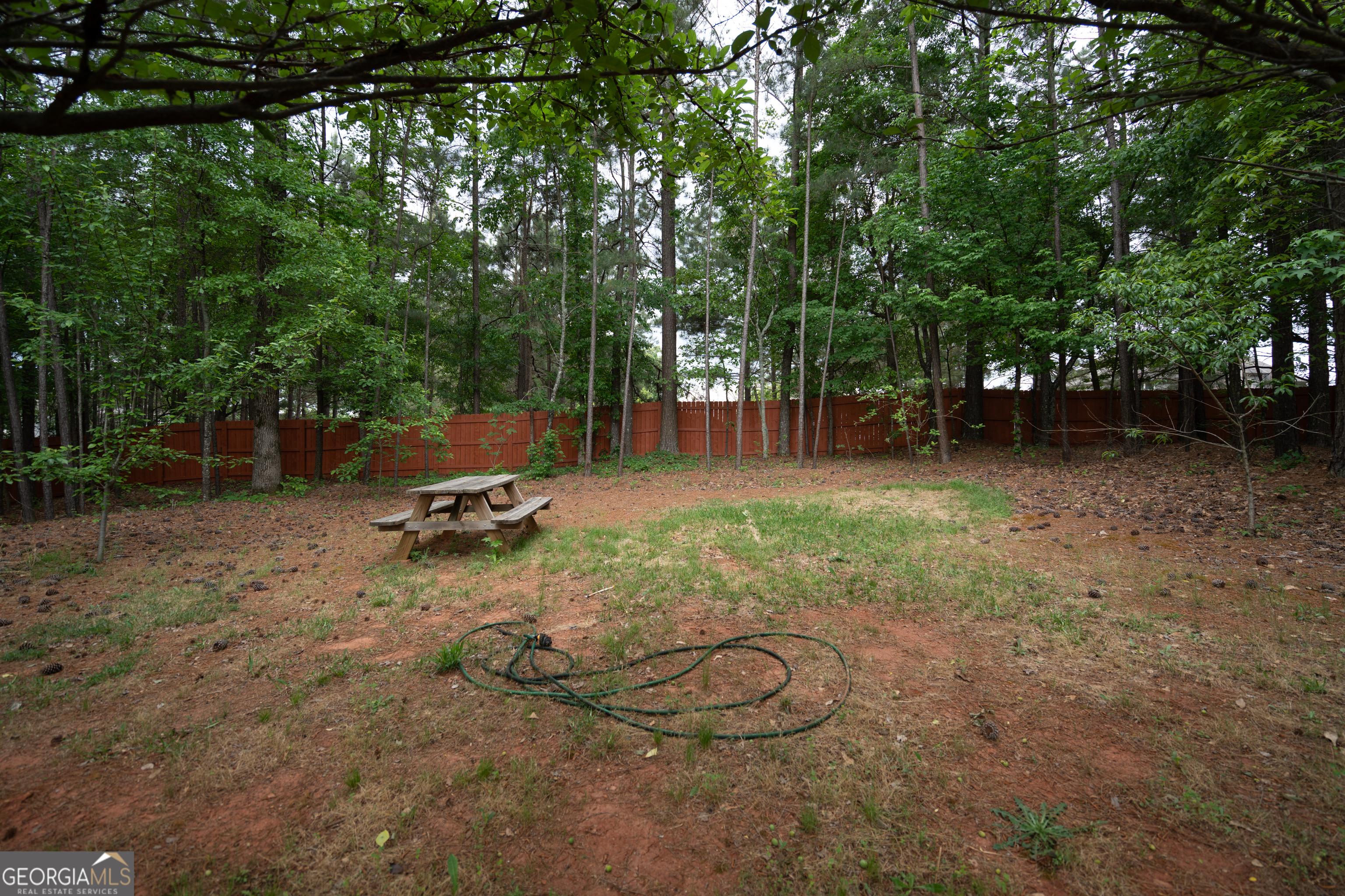 Photo #32