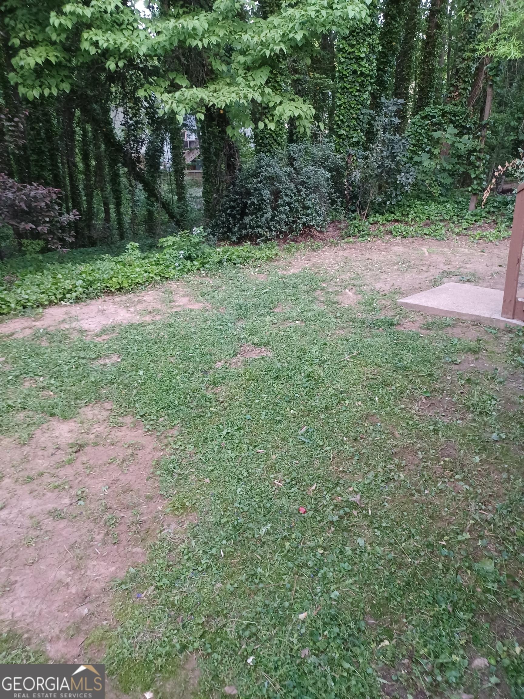 Photo #19