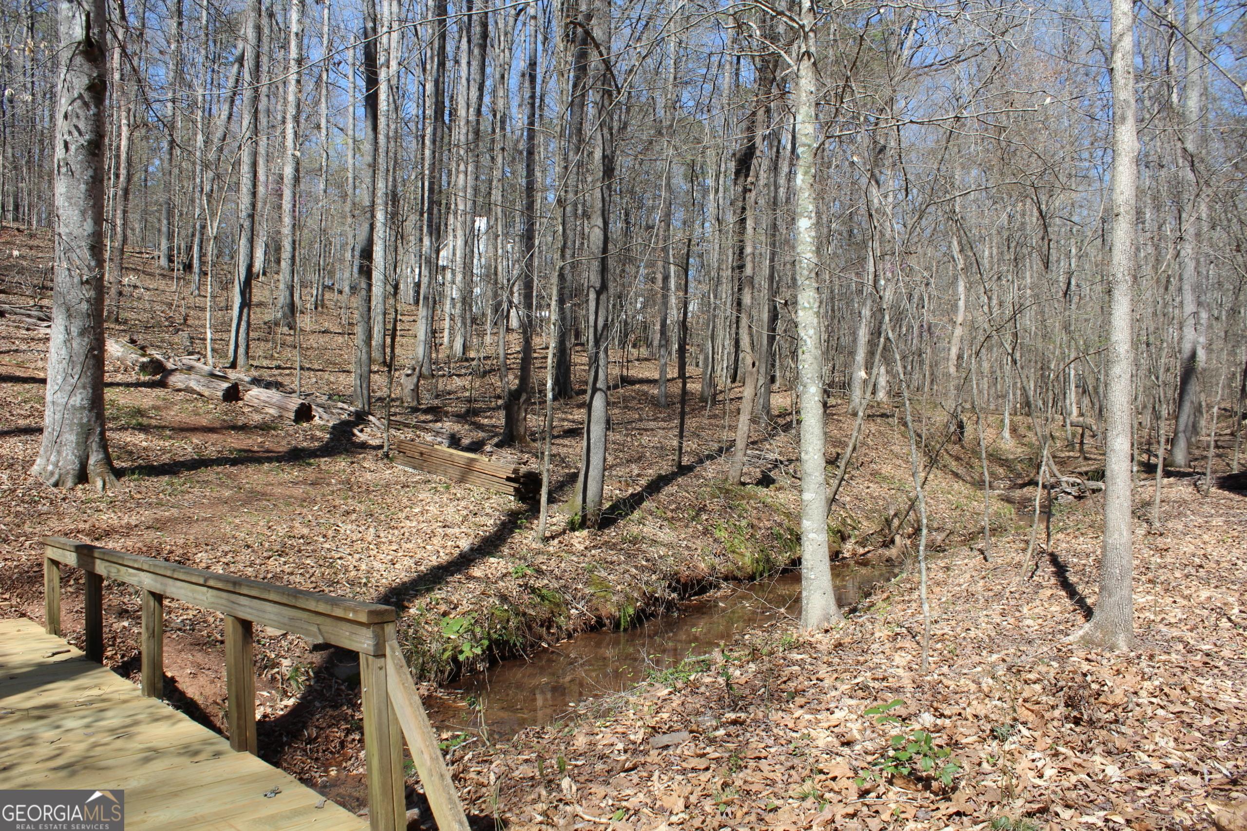 Photo #21