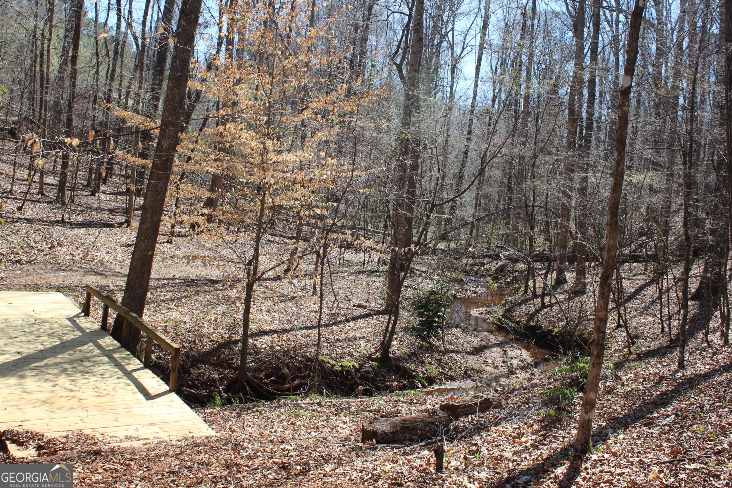 Photo #23