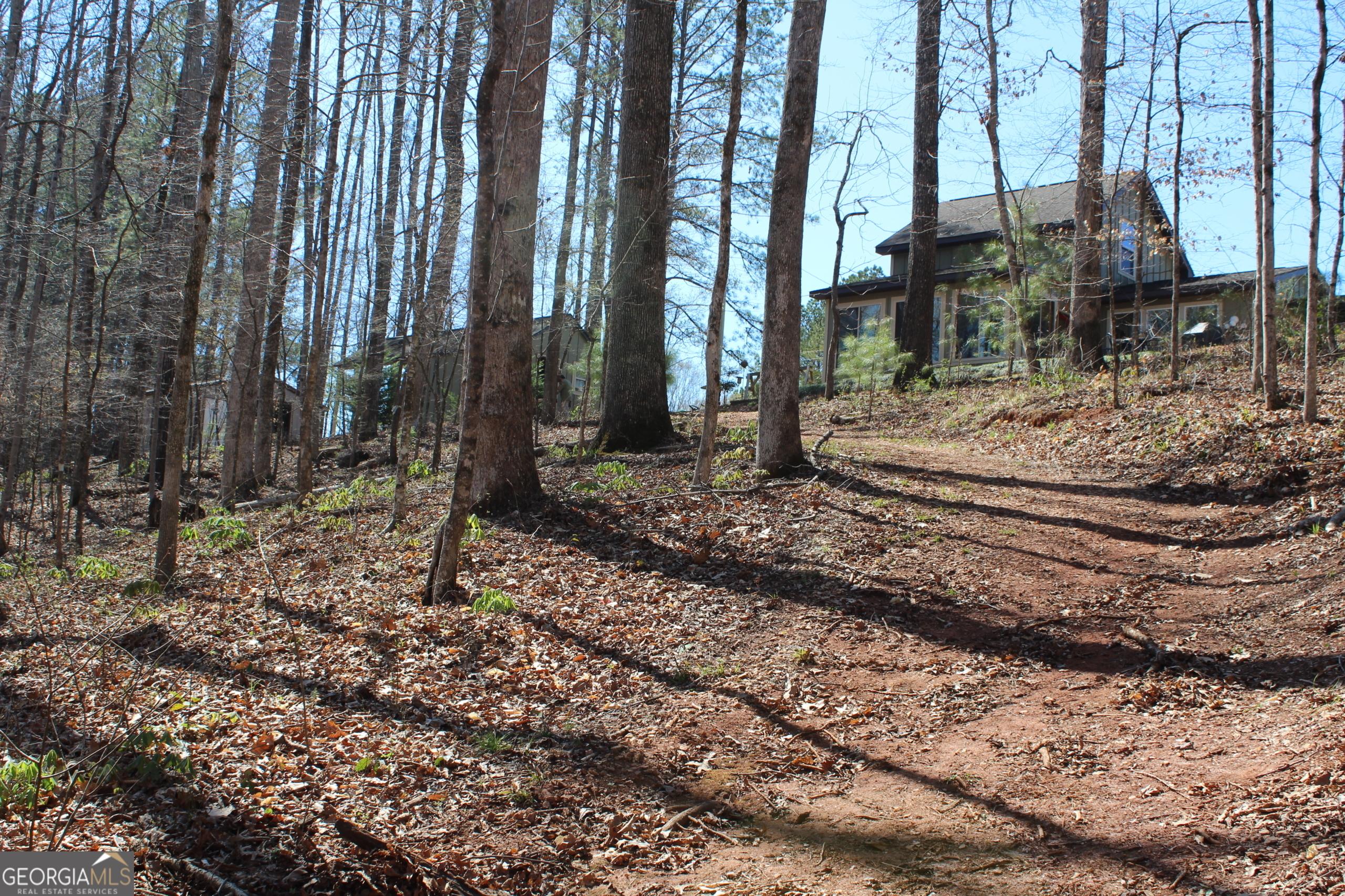 Photo #3