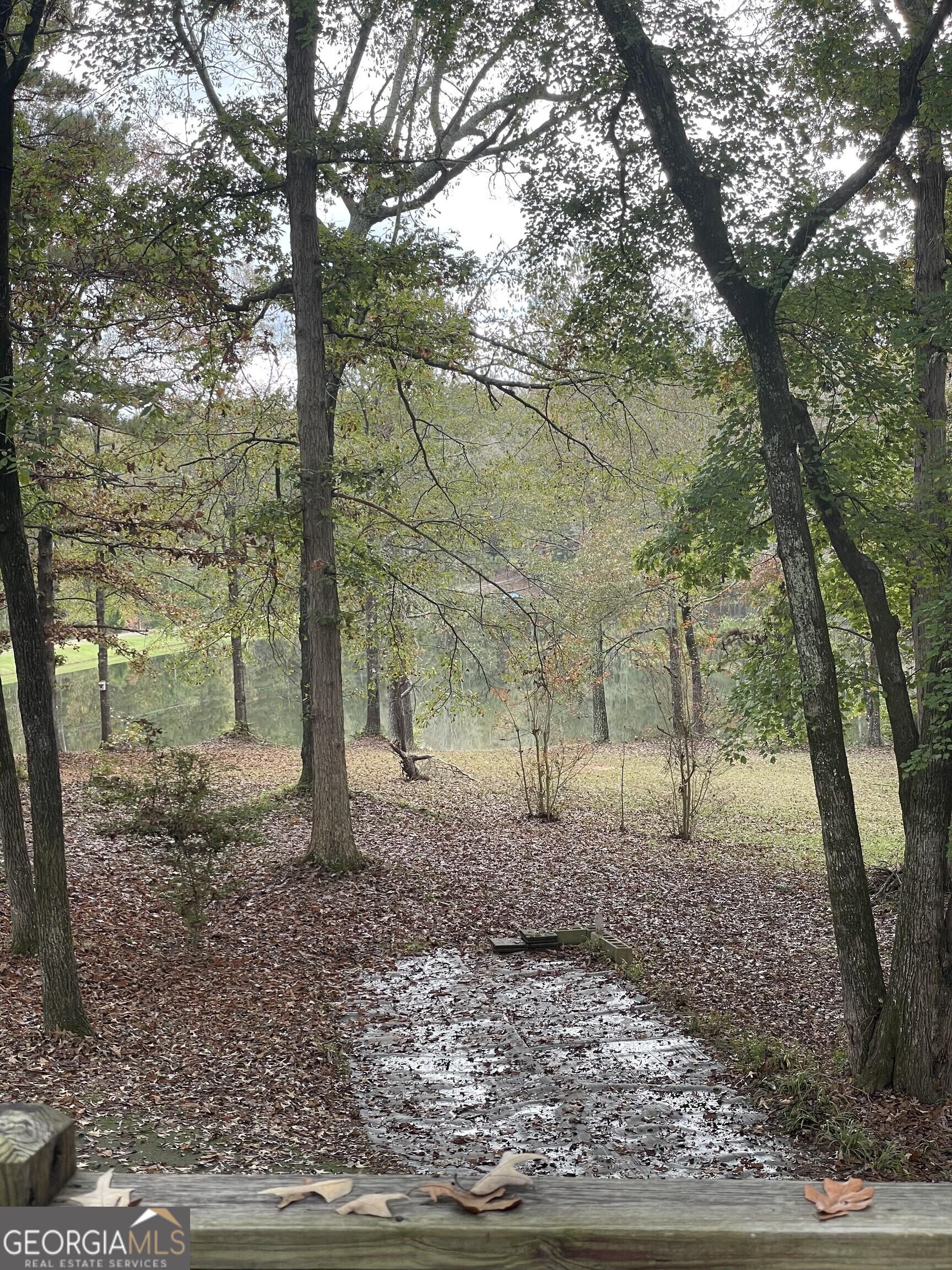 Photo #41
