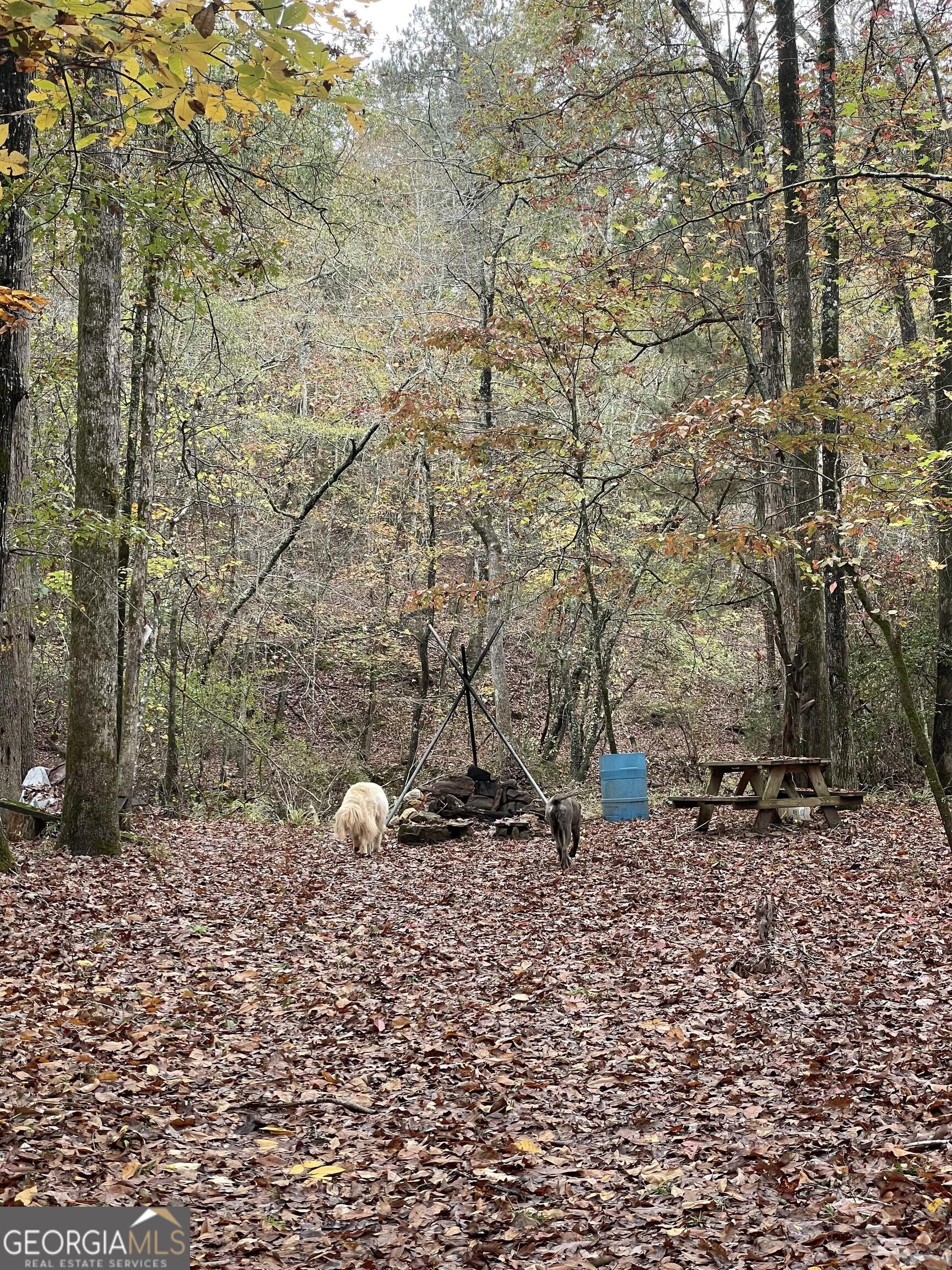 Photo #42