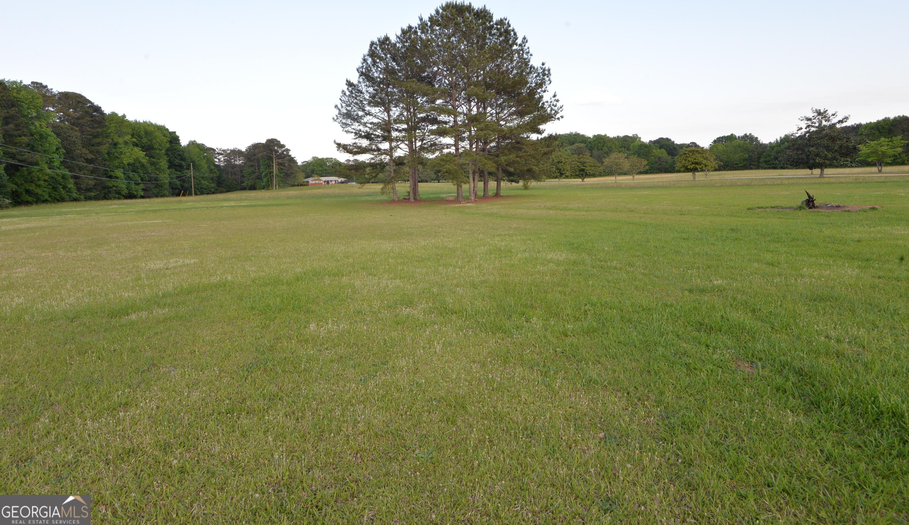 Photo #6