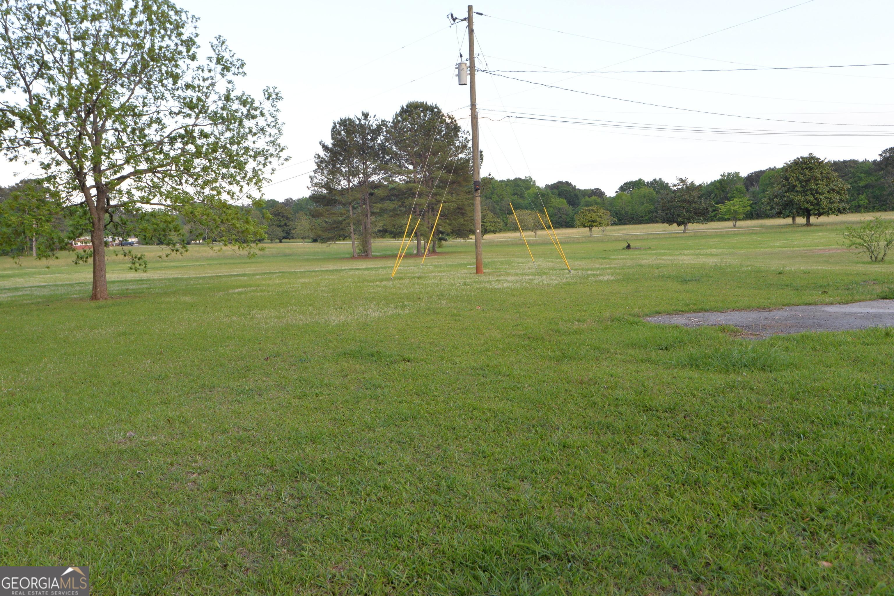 Photo #5