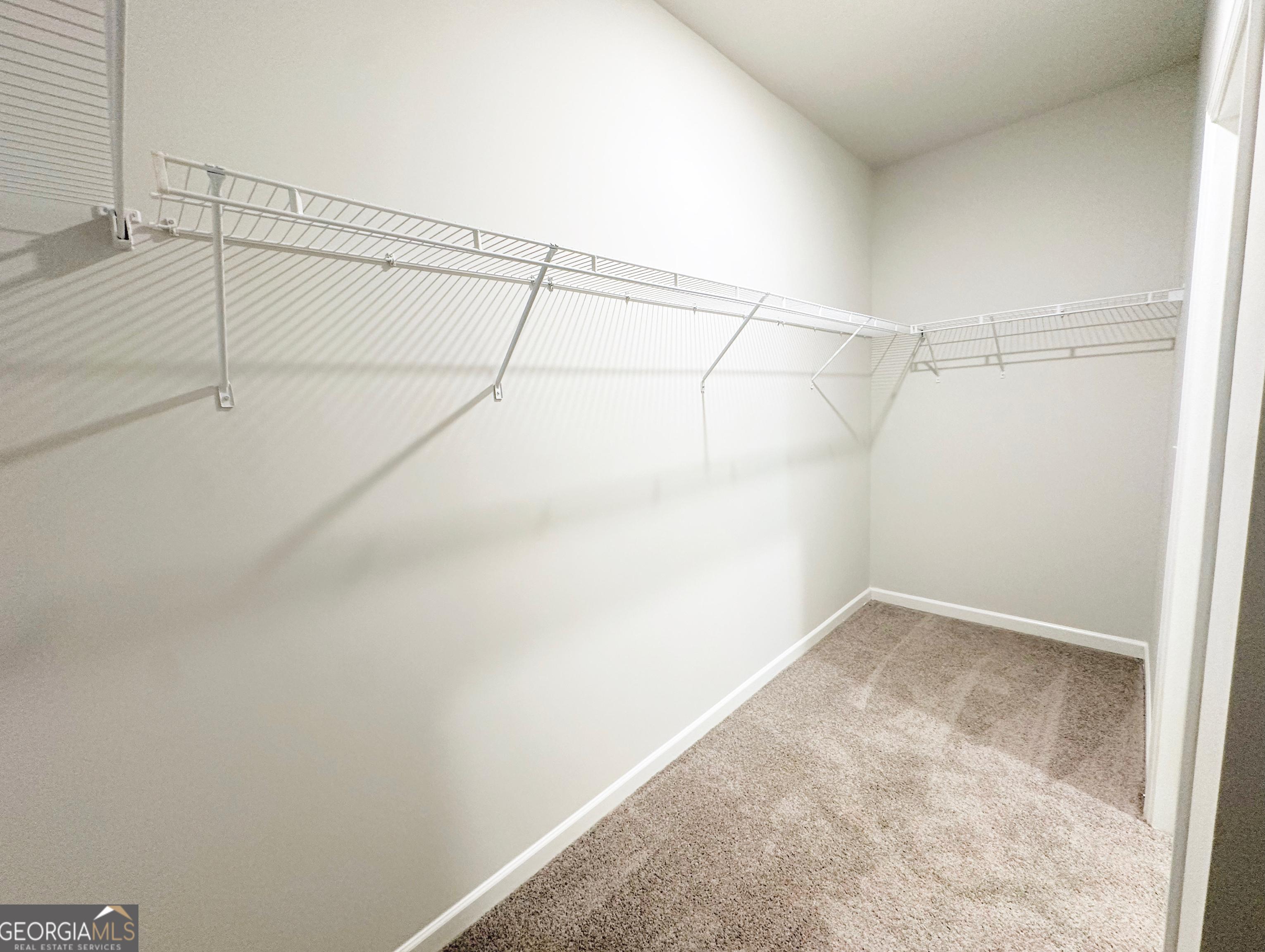 Photo #42