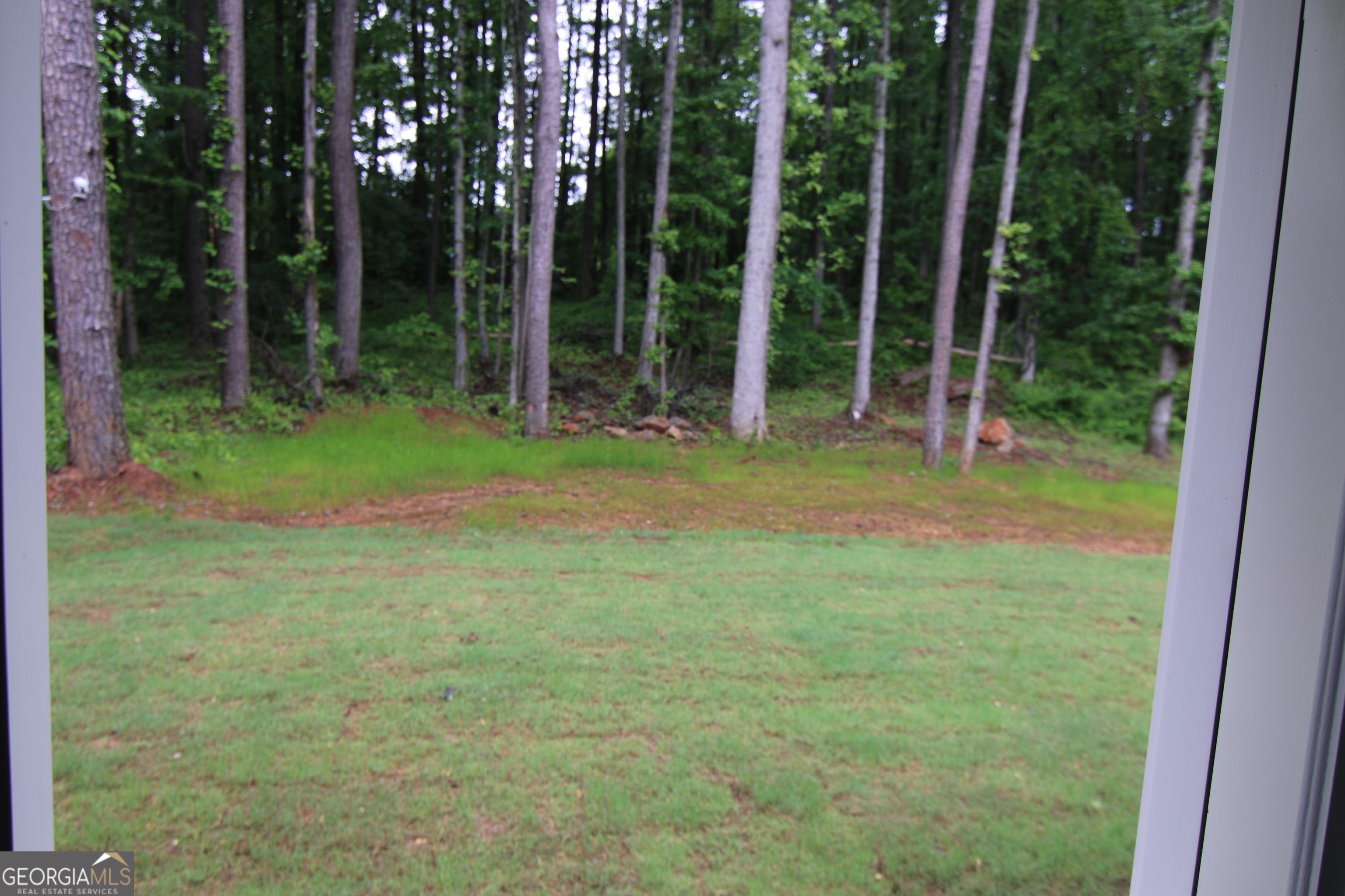 Photo #12
