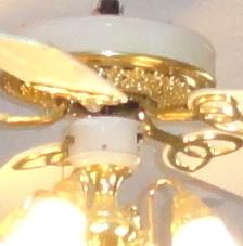 Photo #9