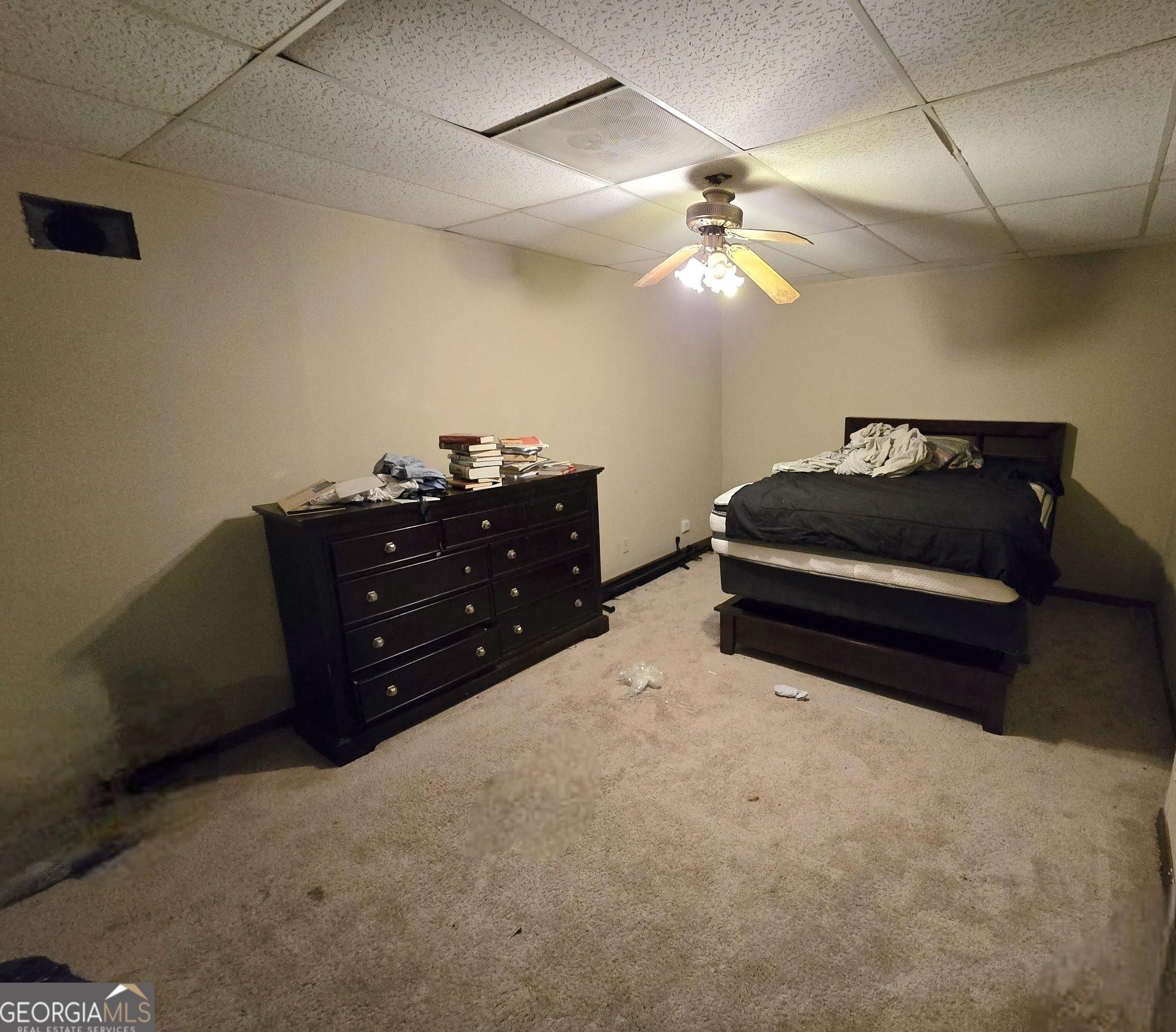 Photo #25