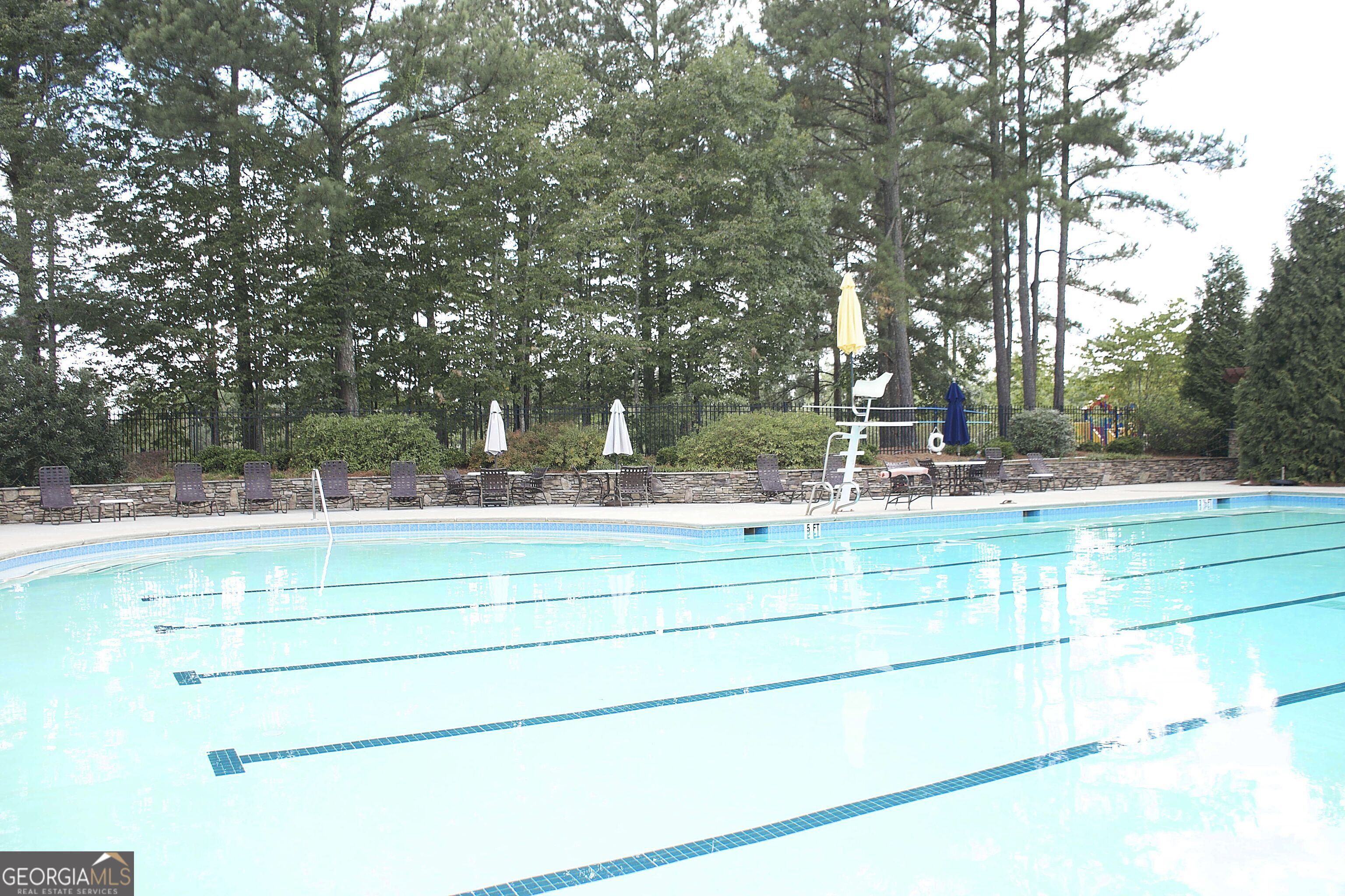 Photo #43