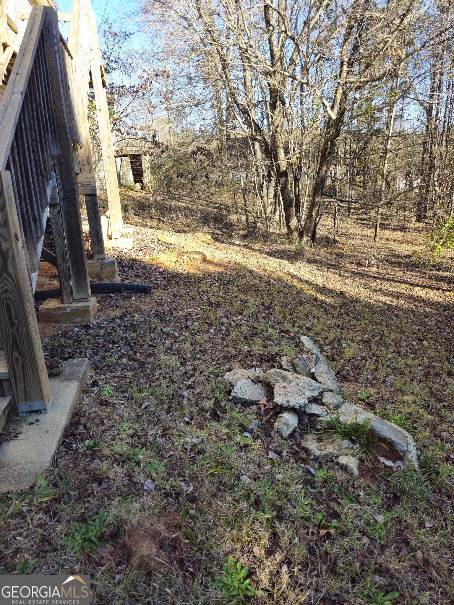 Photo #5