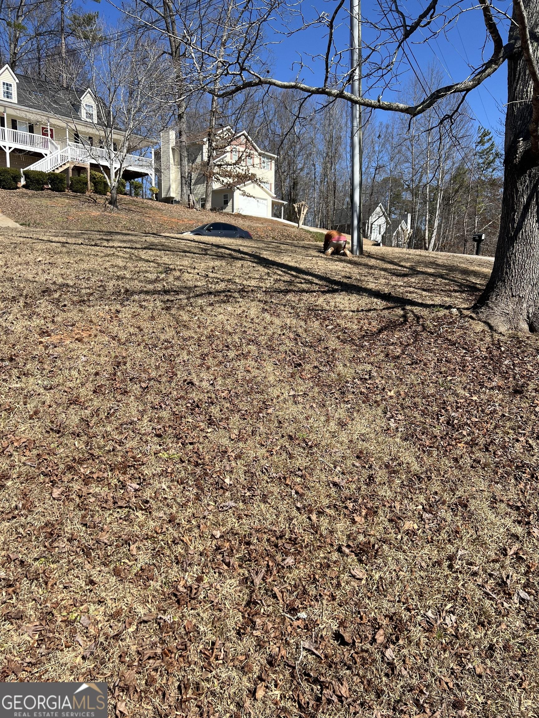 Photo #29