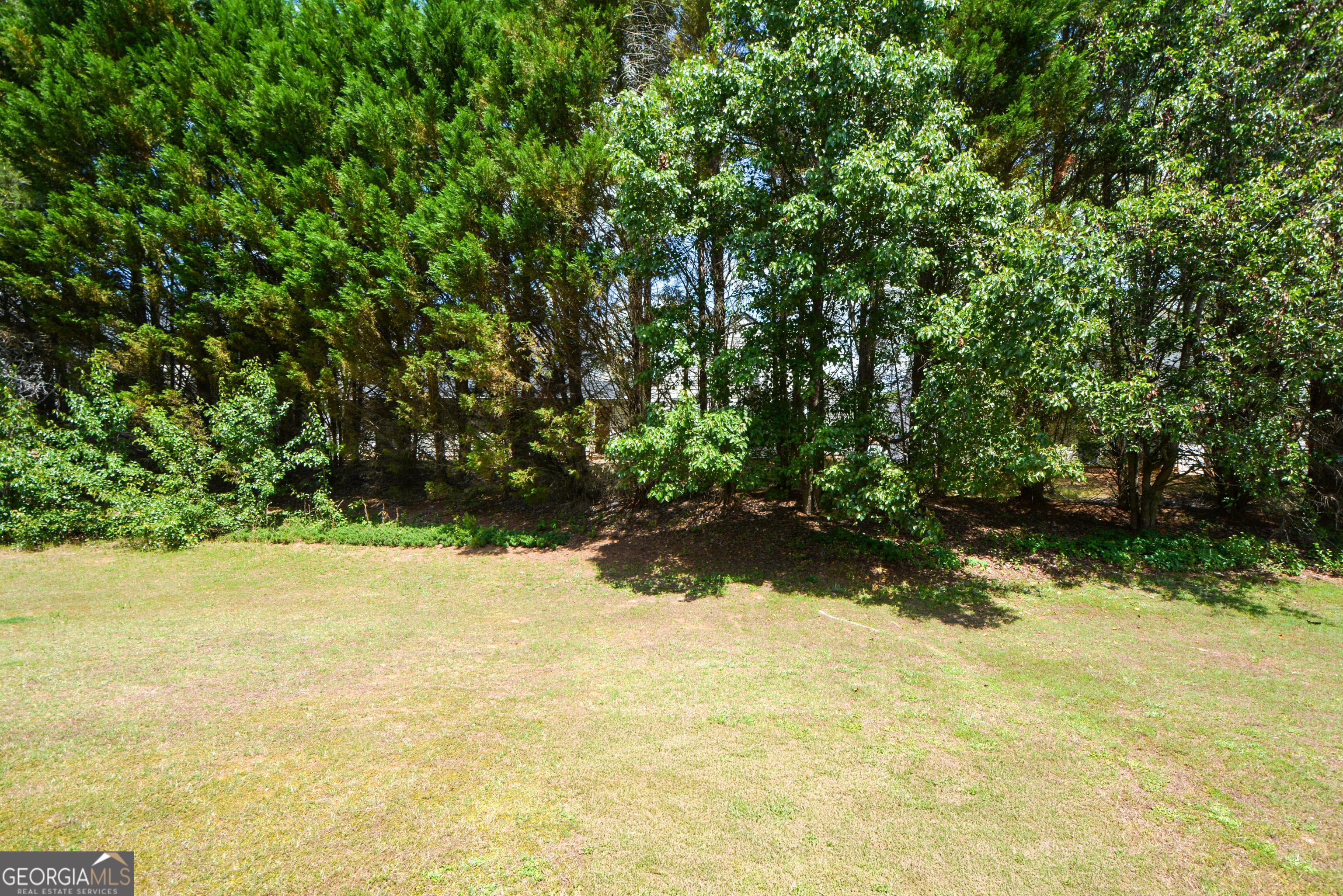 Photo #36