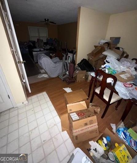 Photo #15