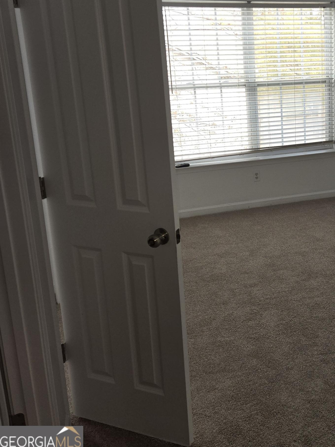 Photo #10