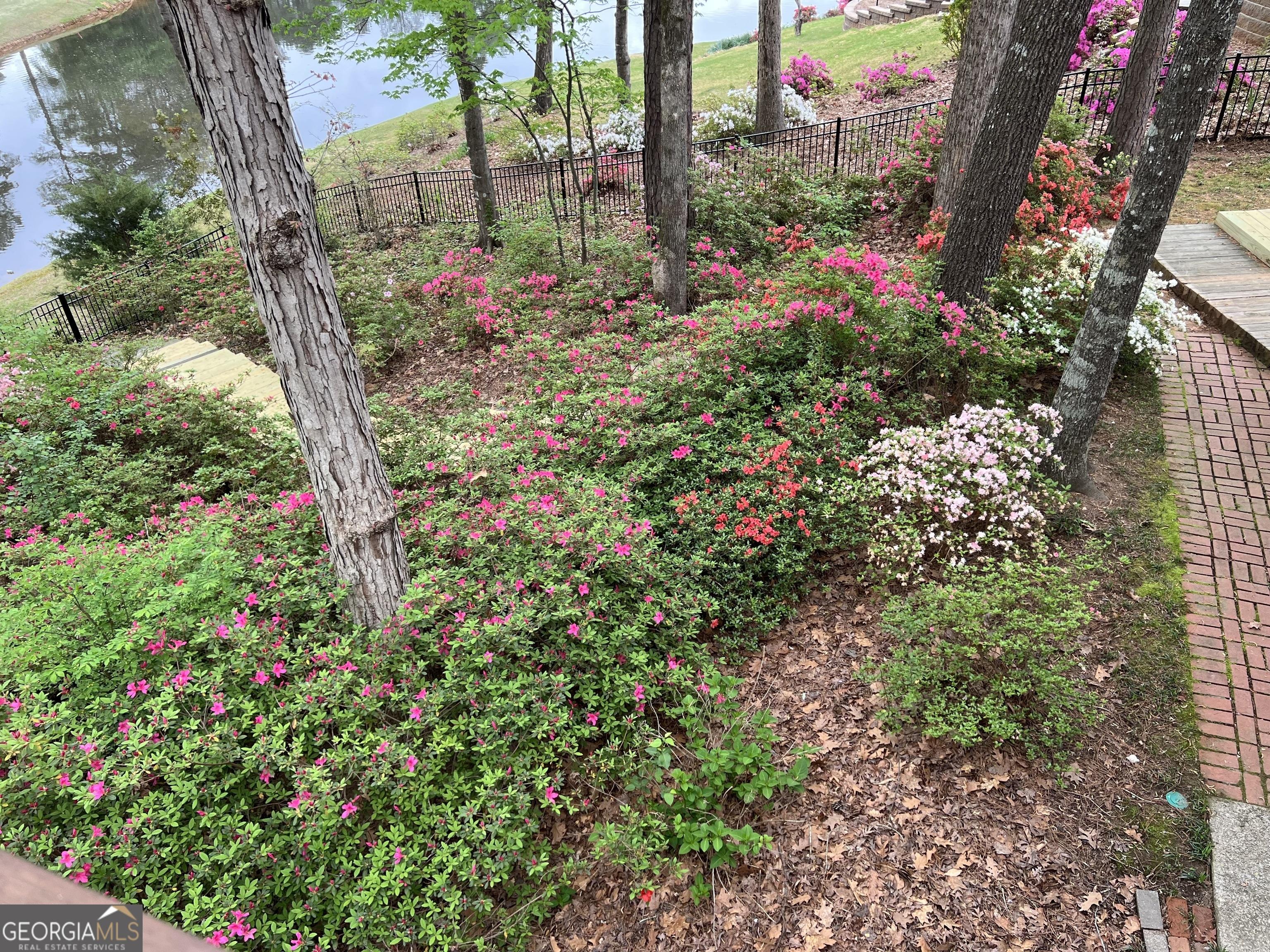 Photo #51