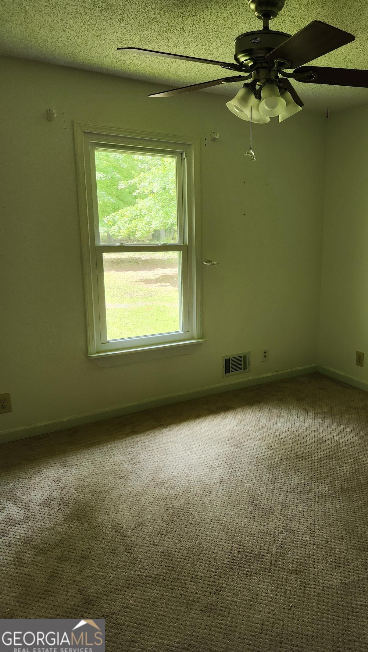 Photo #26