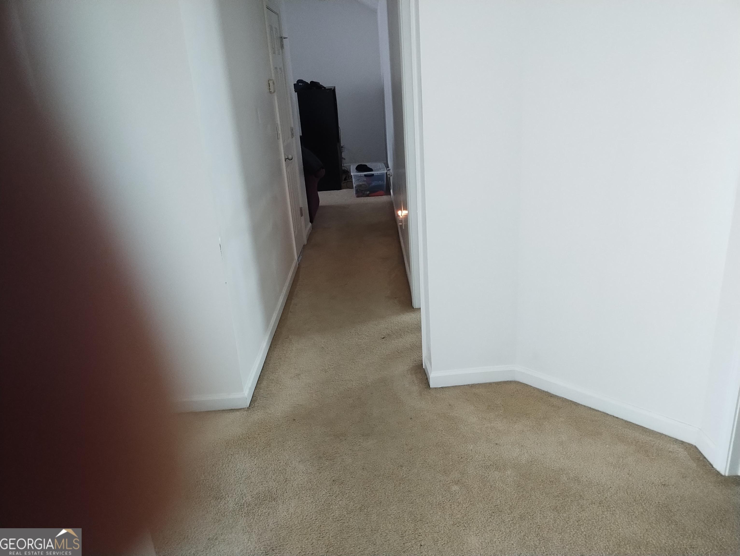 Photo #21
