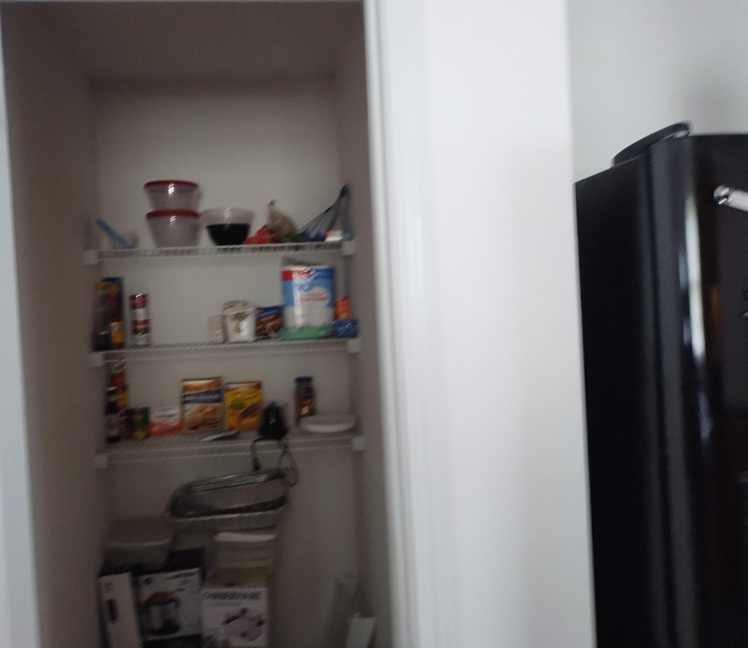 Photo #12