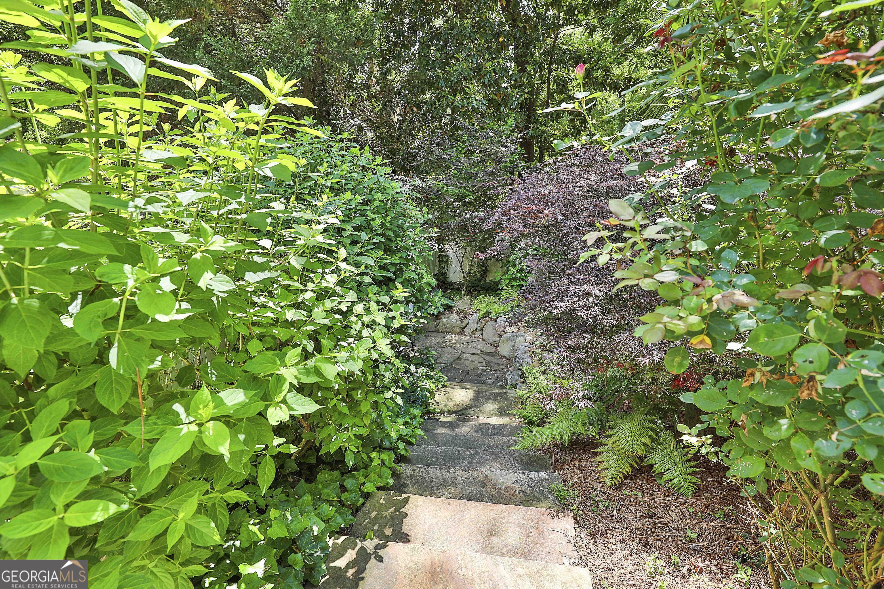 Photo #63