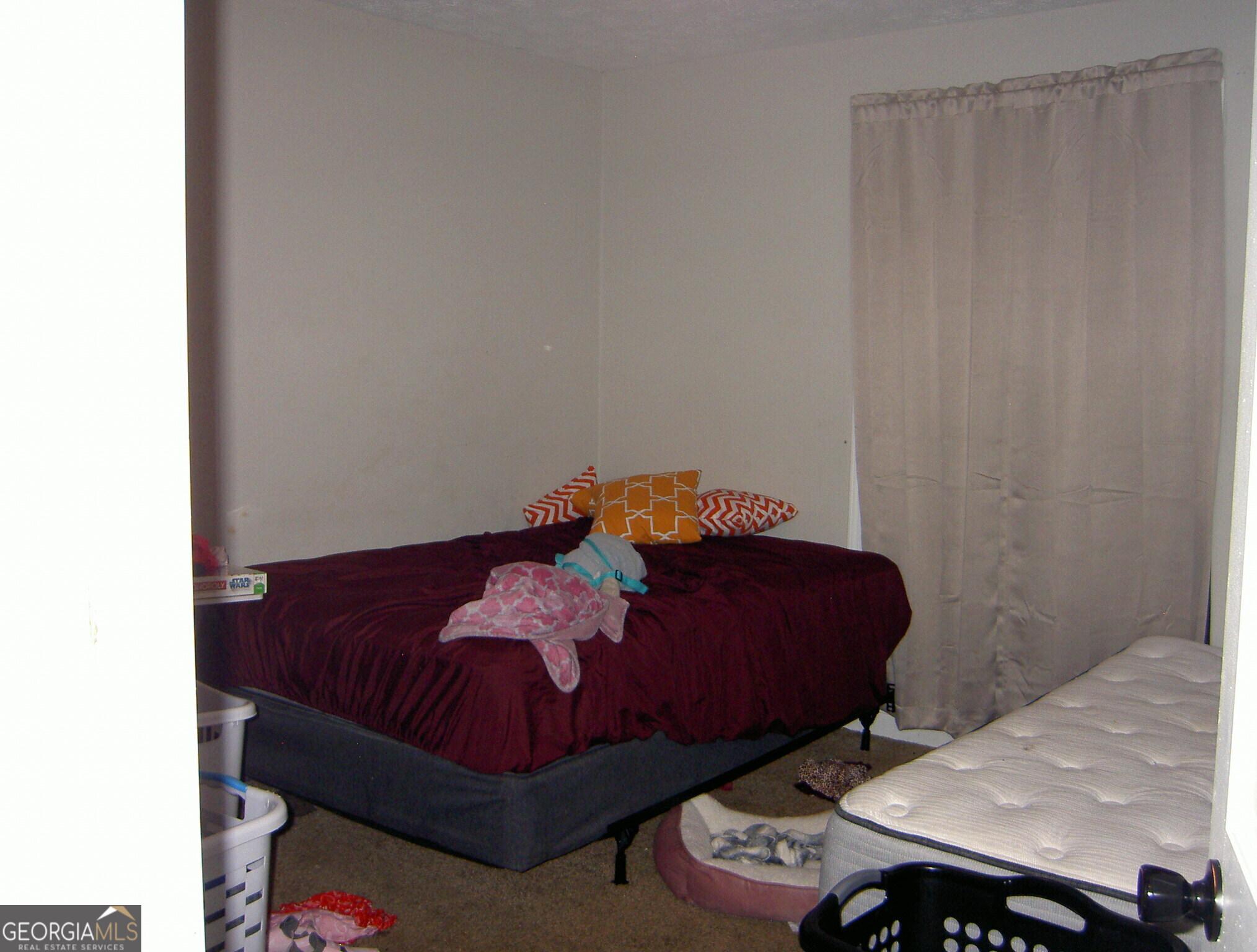 Photo #16
