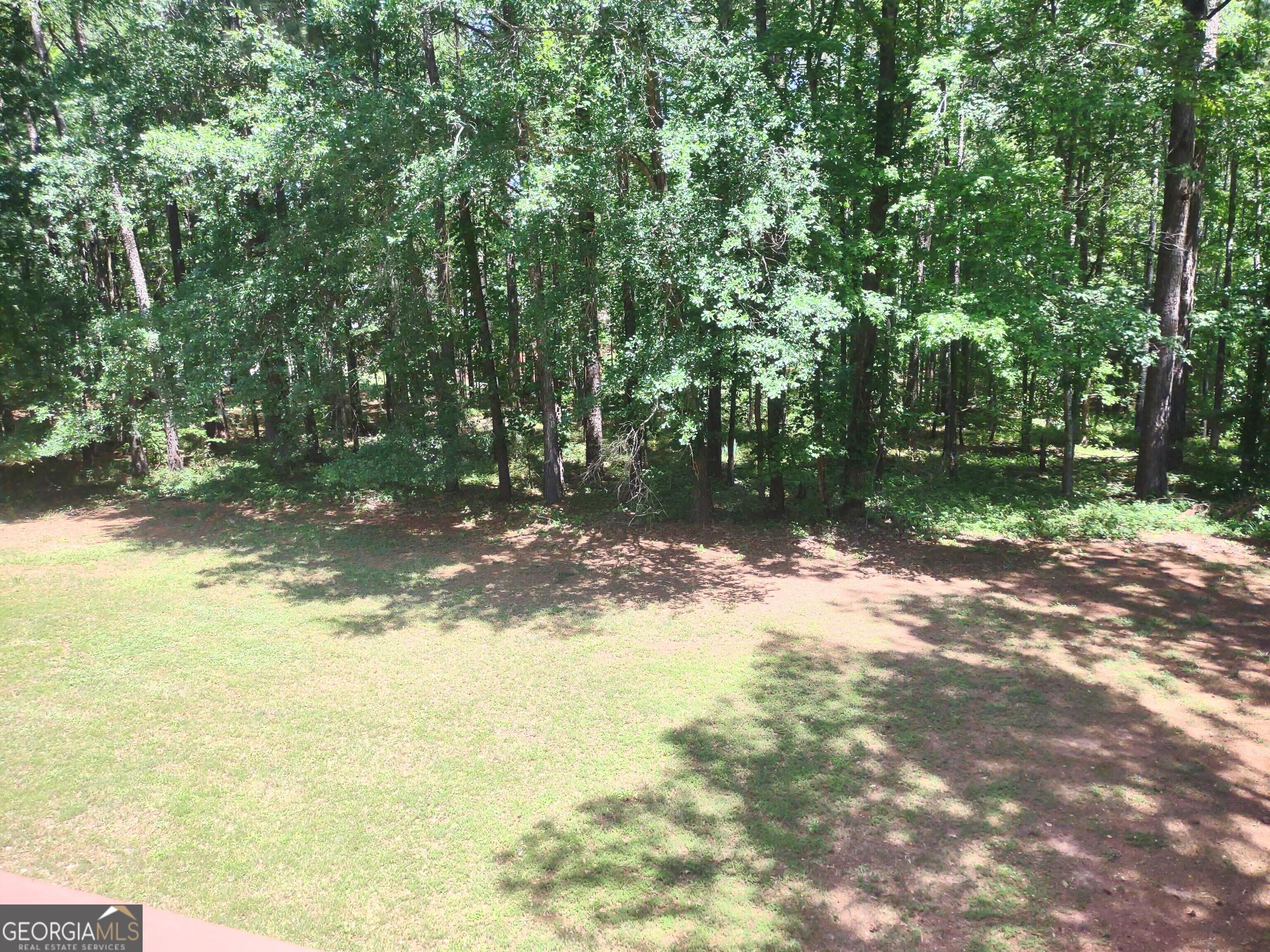 Photo #28