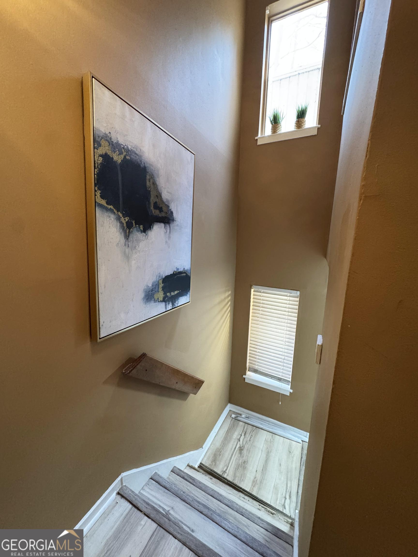 Photo #14
